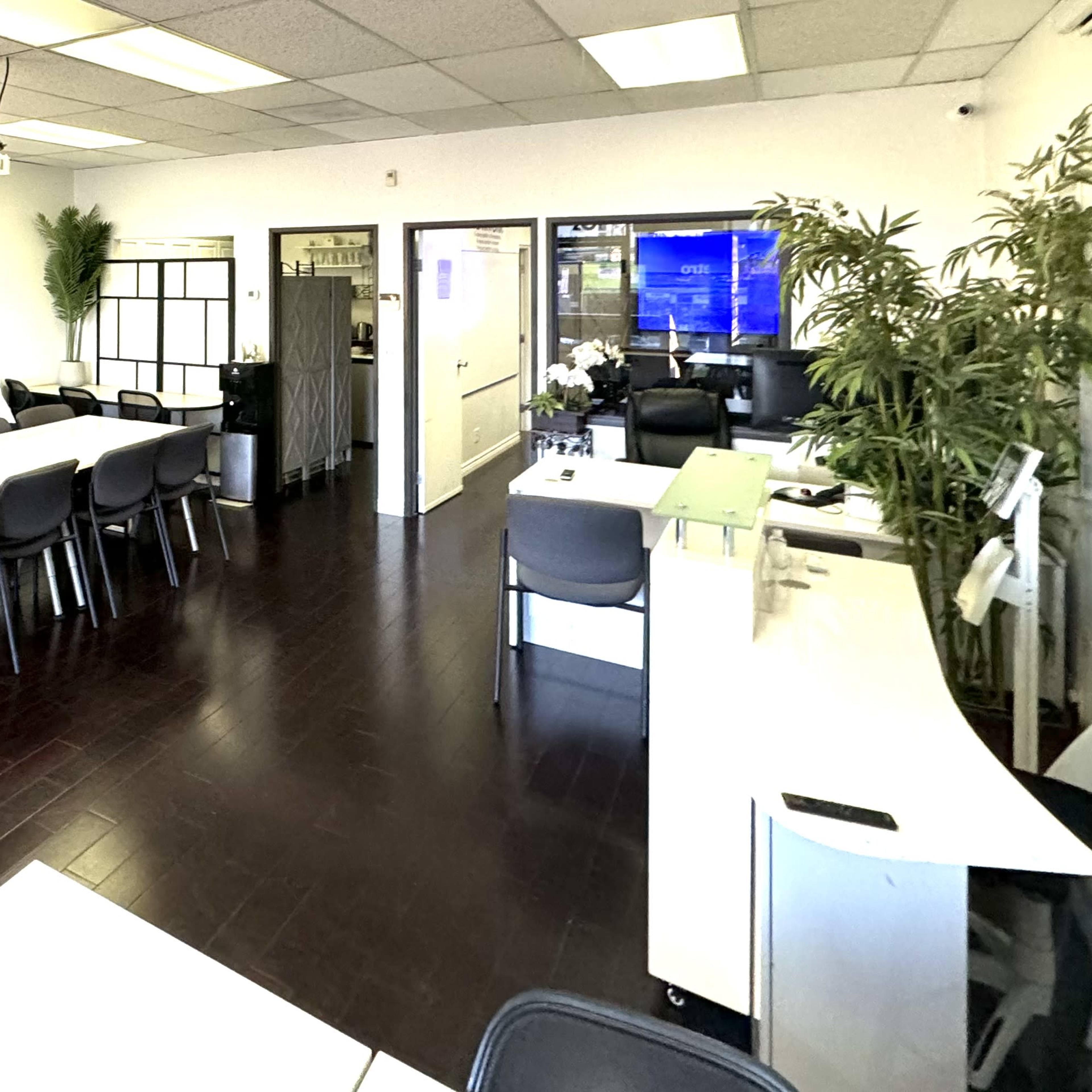 A modern office space featuring a long table with chairs, a large clock on the wall, and plants enhancing the decor.
