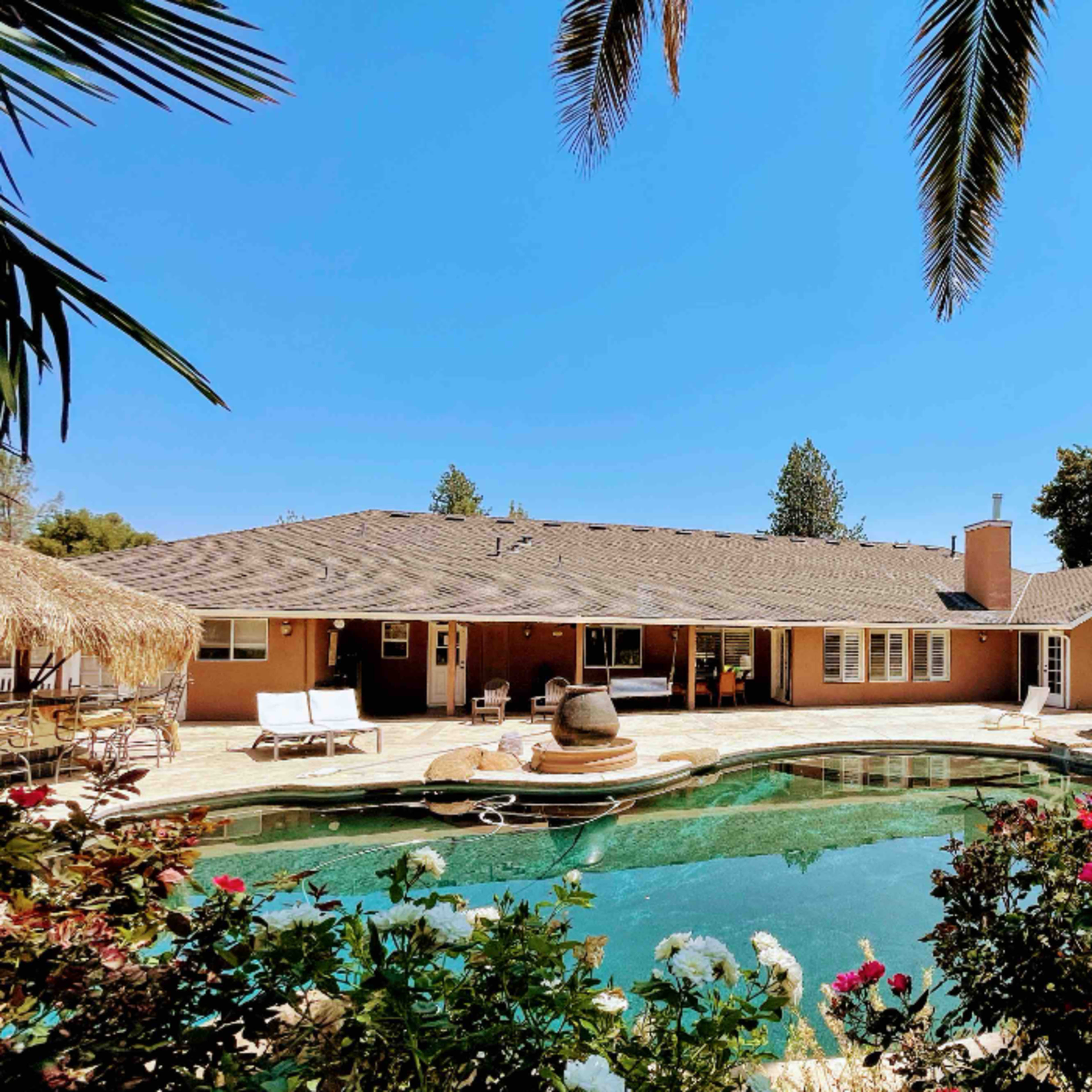 A single-story home with a swimming pool is surrounded by palm trees and blooming rose bushes on a clear, sunny day.
