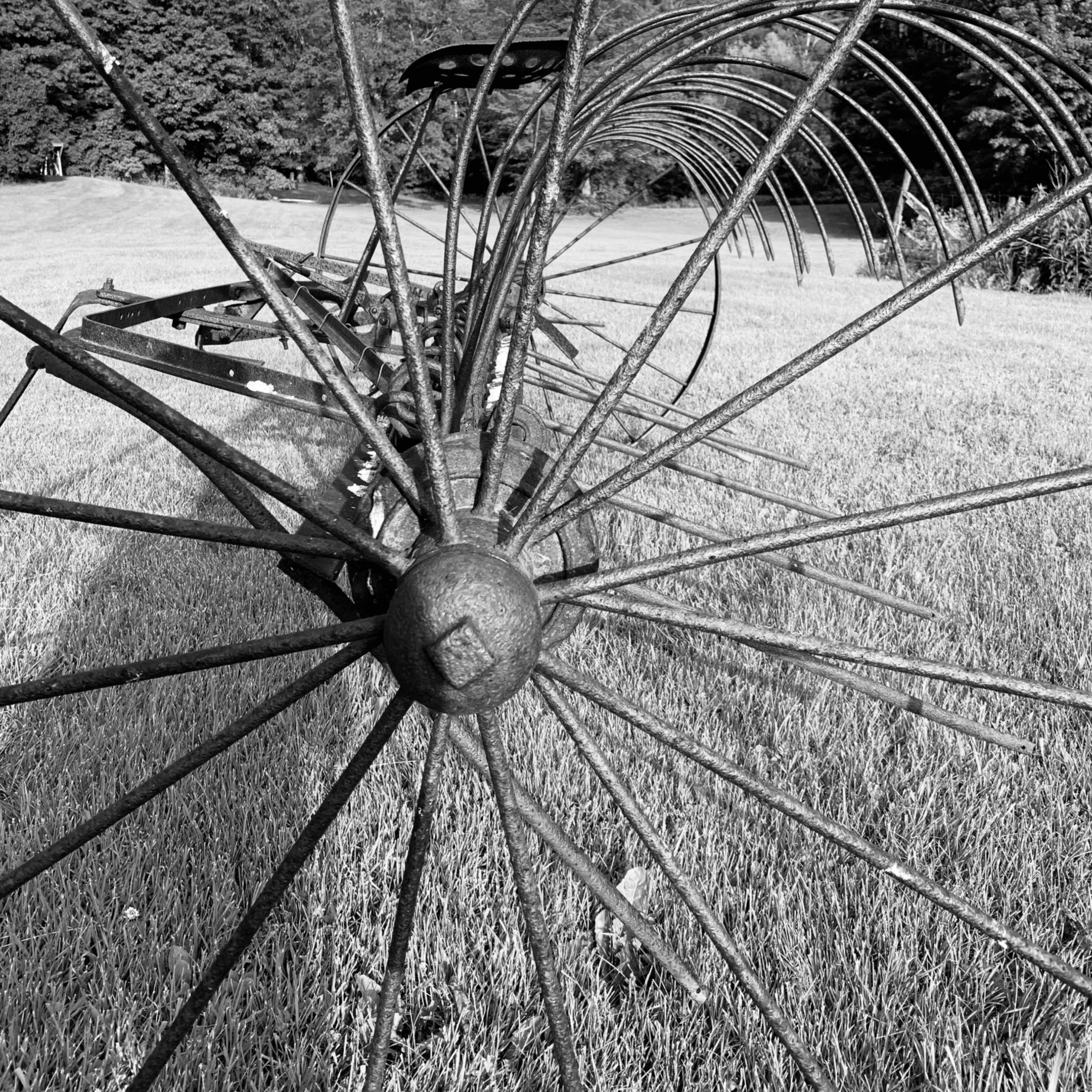 A antique metal hay rake with curved tines rests on a grassy field, stretching into the background.