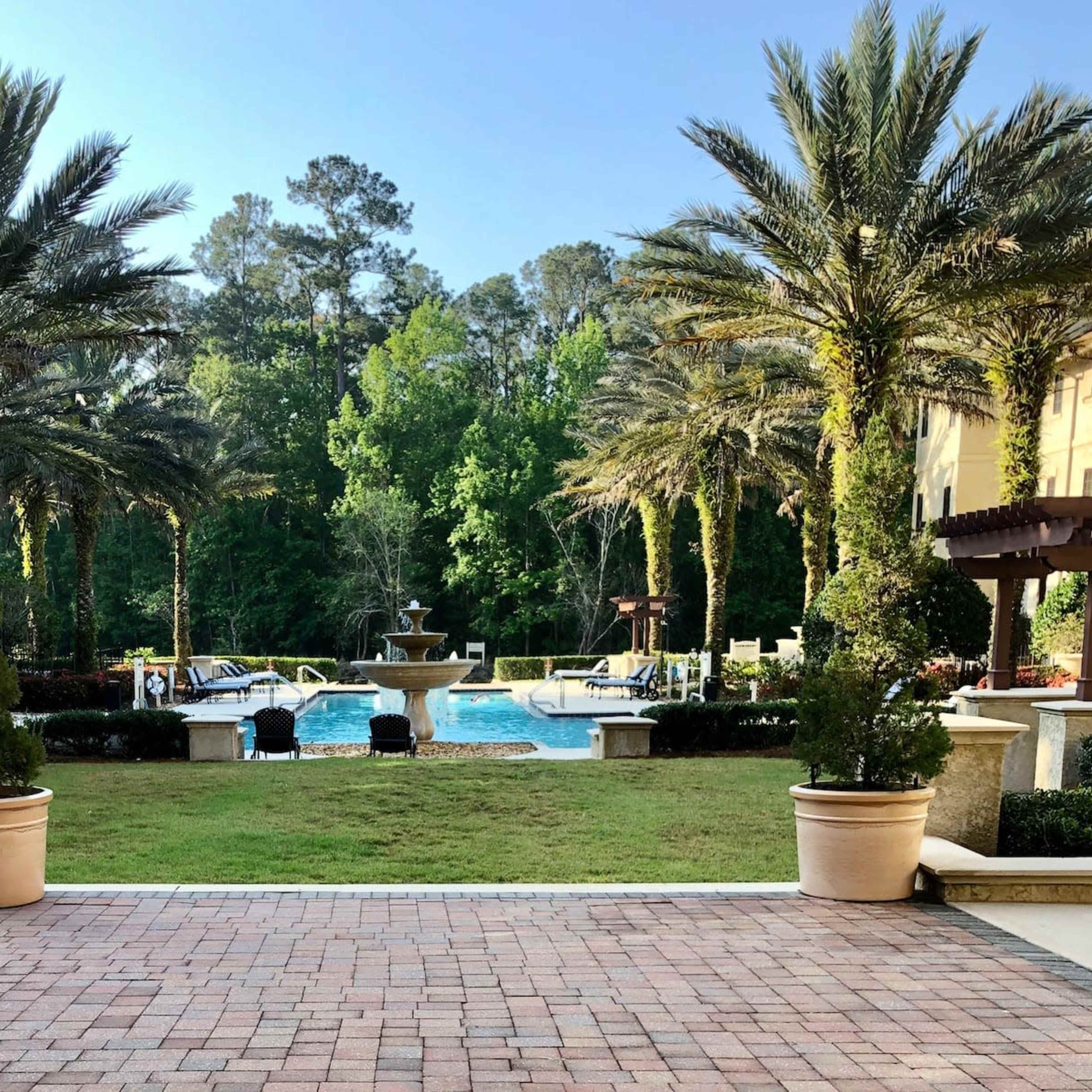 A landscaped courtyard with a swimming pool, surrounded by palm trees and lounge chairs, framed by potted plants.