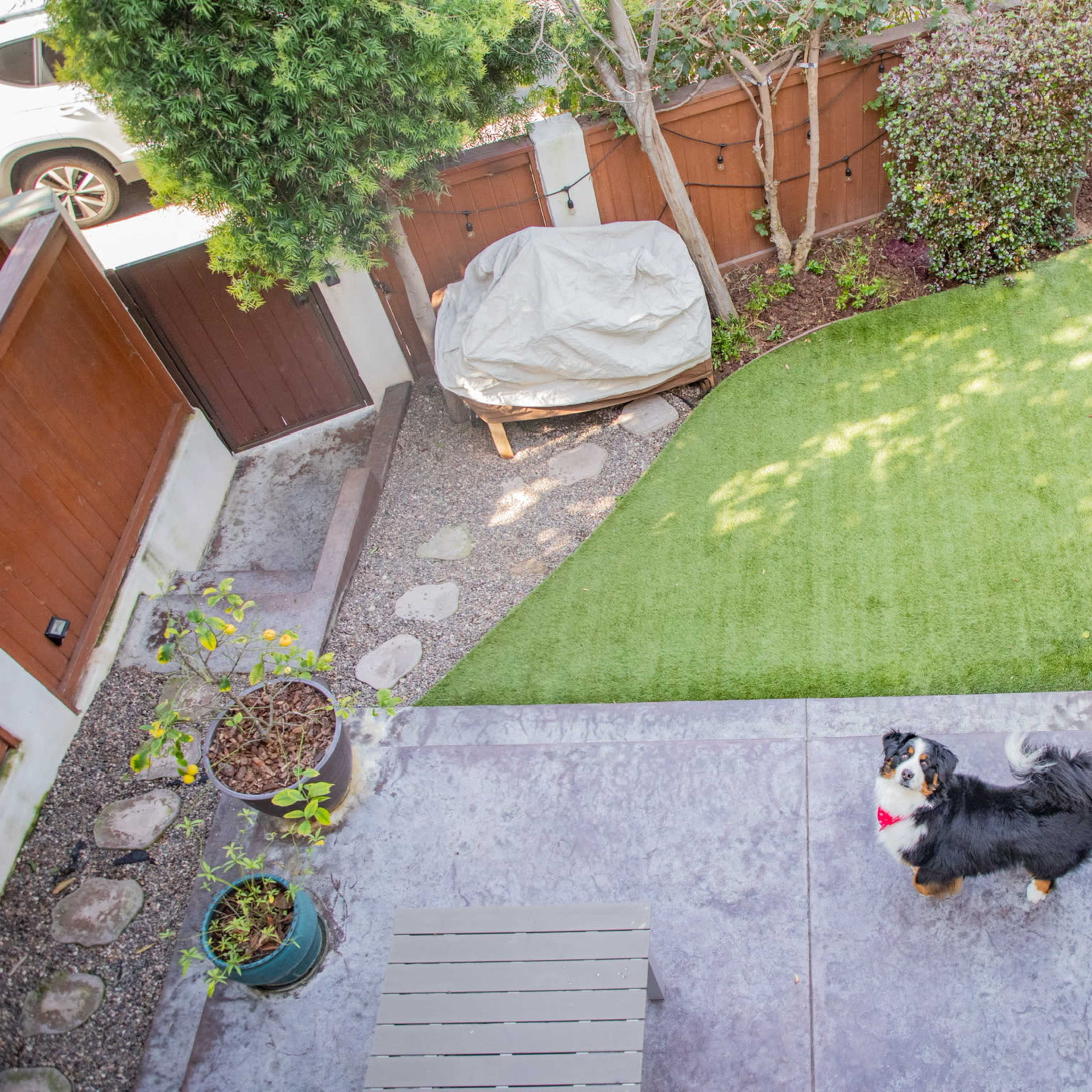 A well-maintained backyard features a dog standing on artificial grass with a covered grill and potted plants nearby.