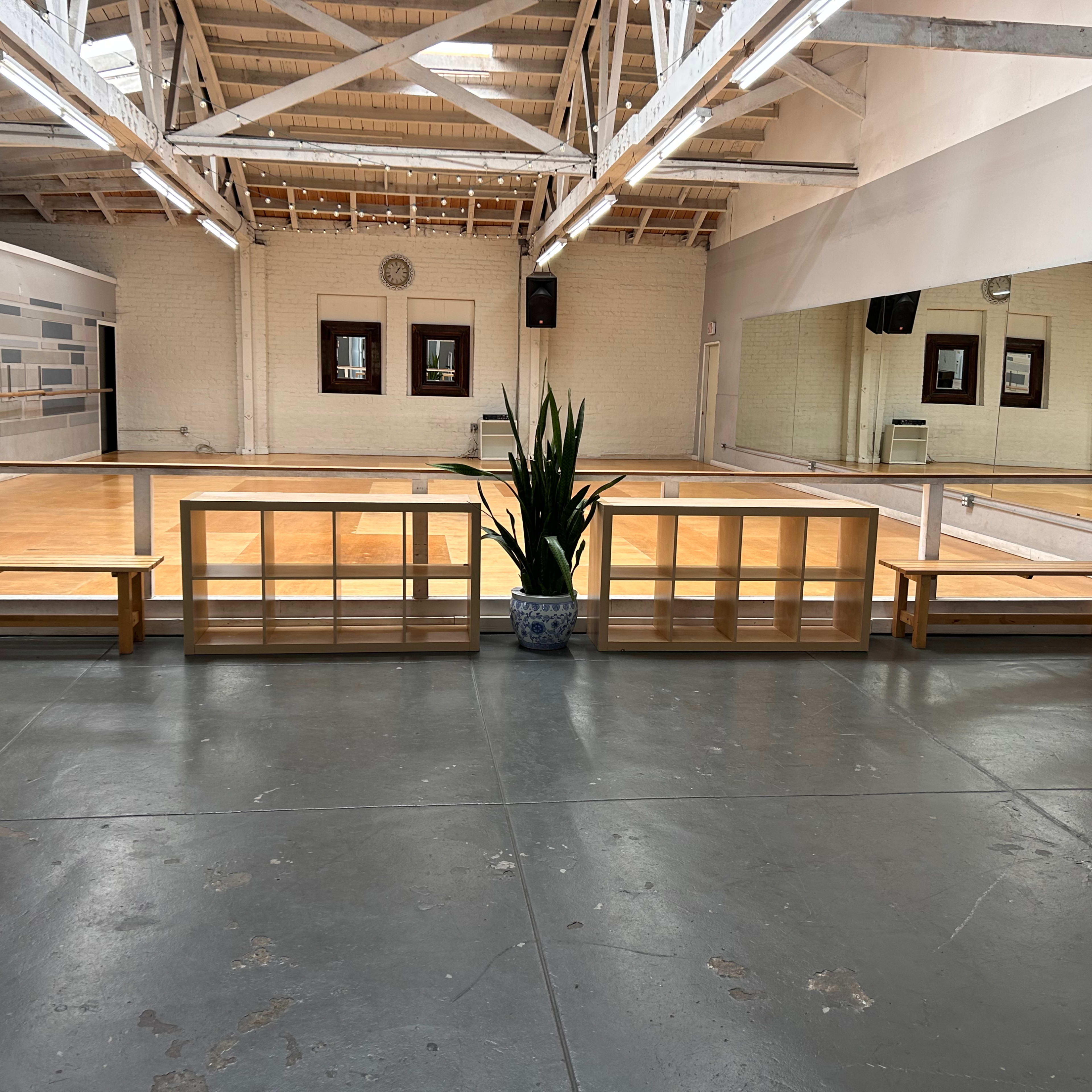 A spacious dance studio with light wooden floors, large mirrors on one wall, and benches placed on either side of a potted plant in the center.