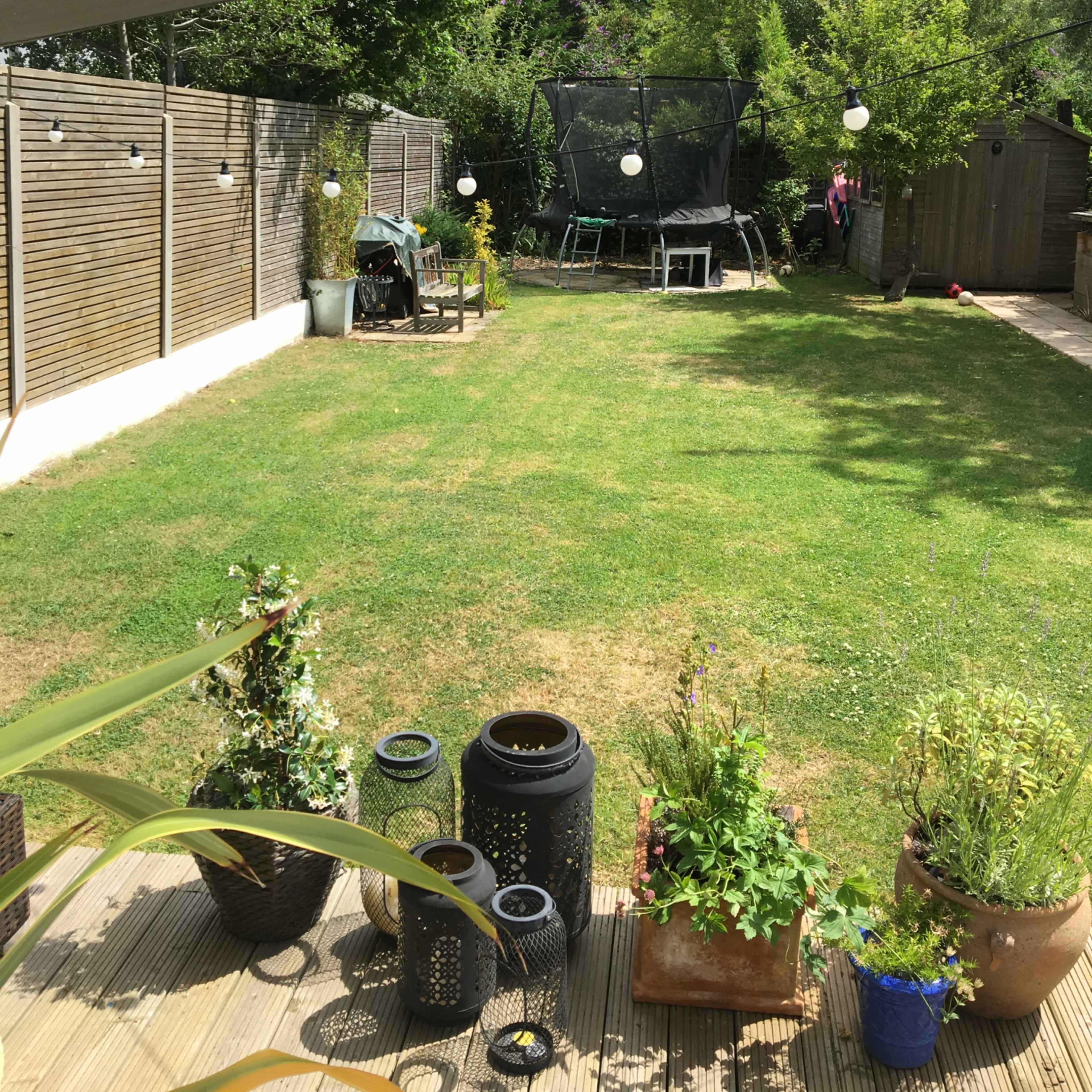 A garden with a grassy area, a trampoline in the background, and potted plants on a wooden deck.