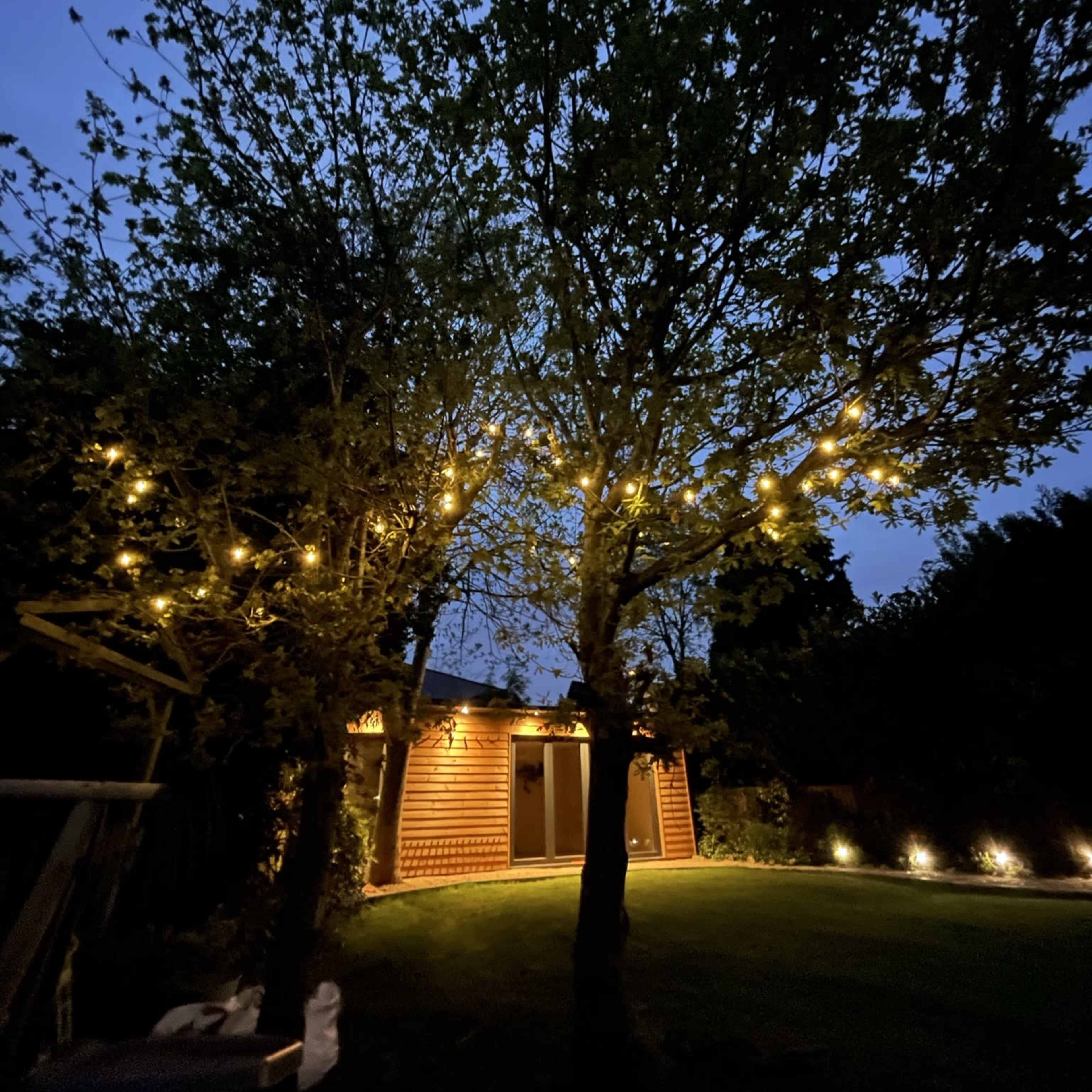 A backyard features two lit trees with string lights, illuminating a small wooden building under a twilight sky.