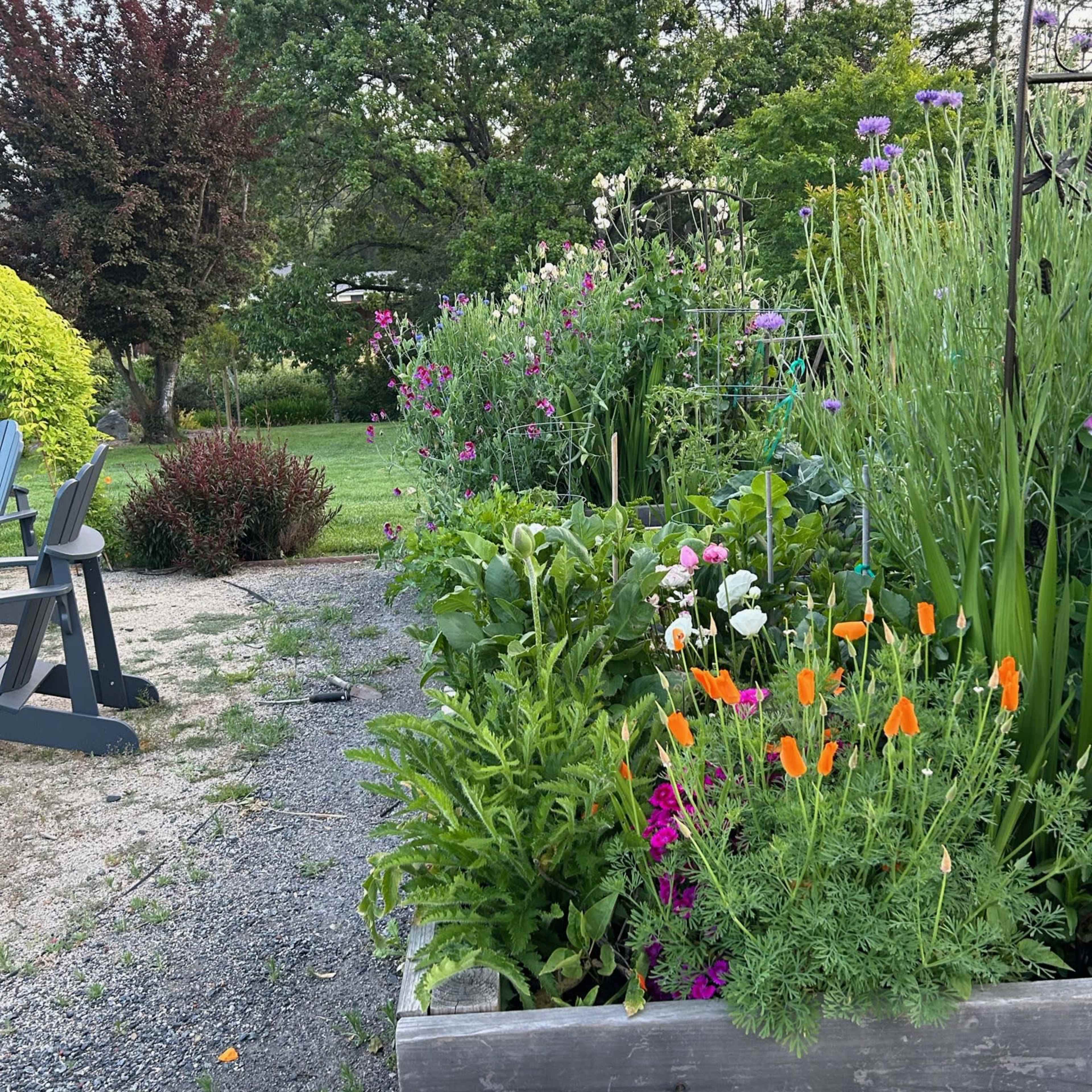 A vibrant flower garden with a variety of plants and brightly colored blossoms lines a gravel pathway.