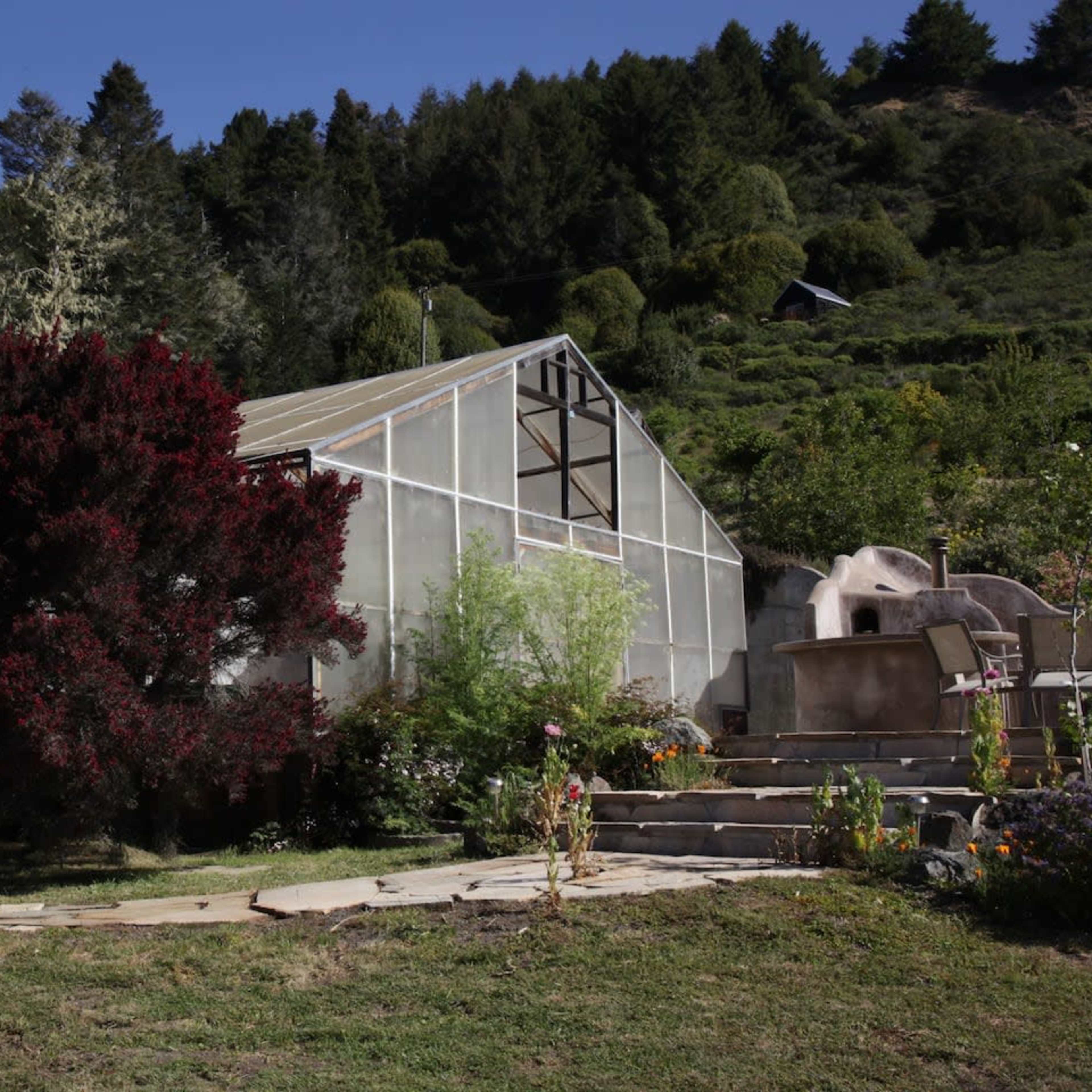 A greenhouse stands next to a large, bushy plant in a garden surrounded by trees and hills.