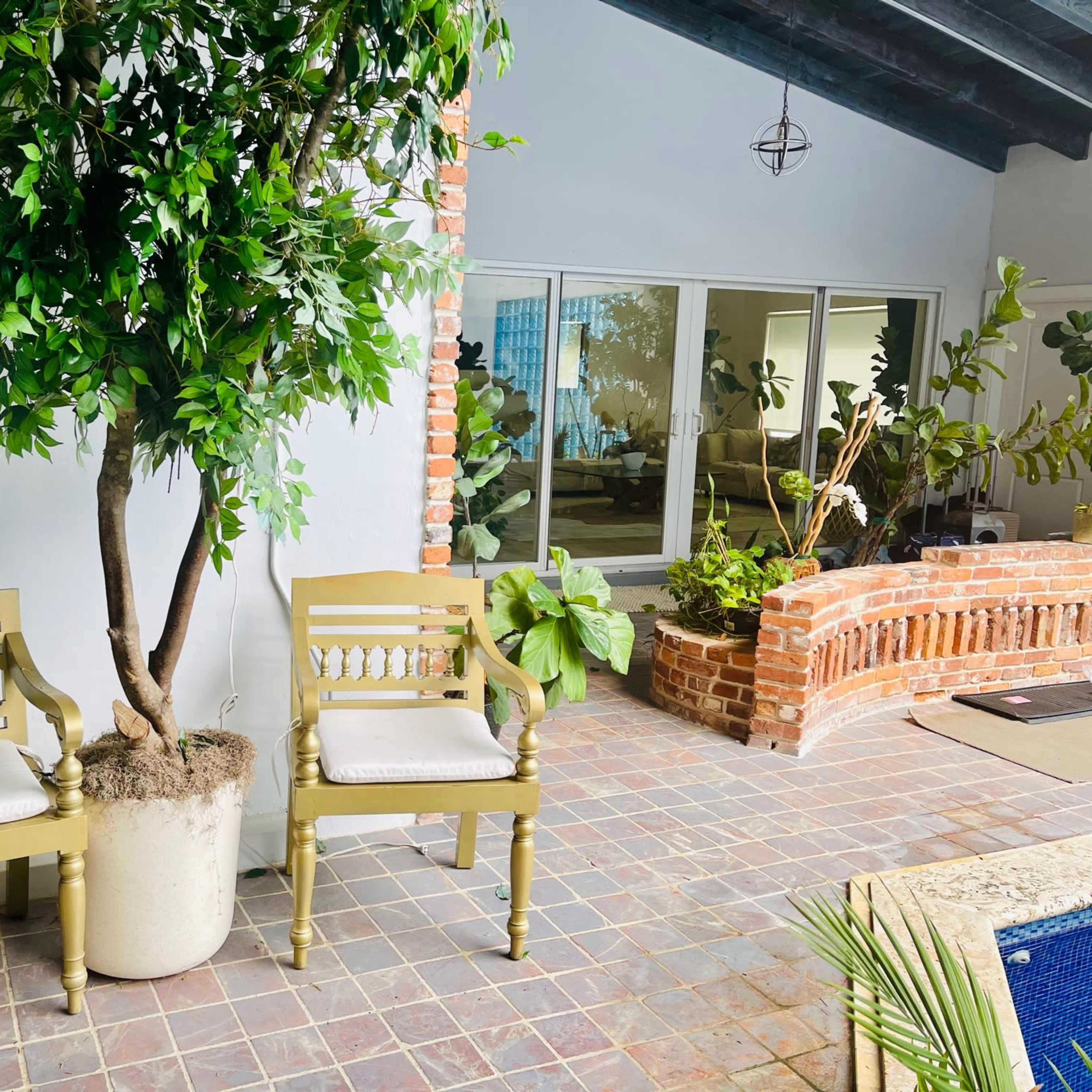 Two gold-colored chairs are positioned beside a potted tree in a room with large windows and a brick accent wall.