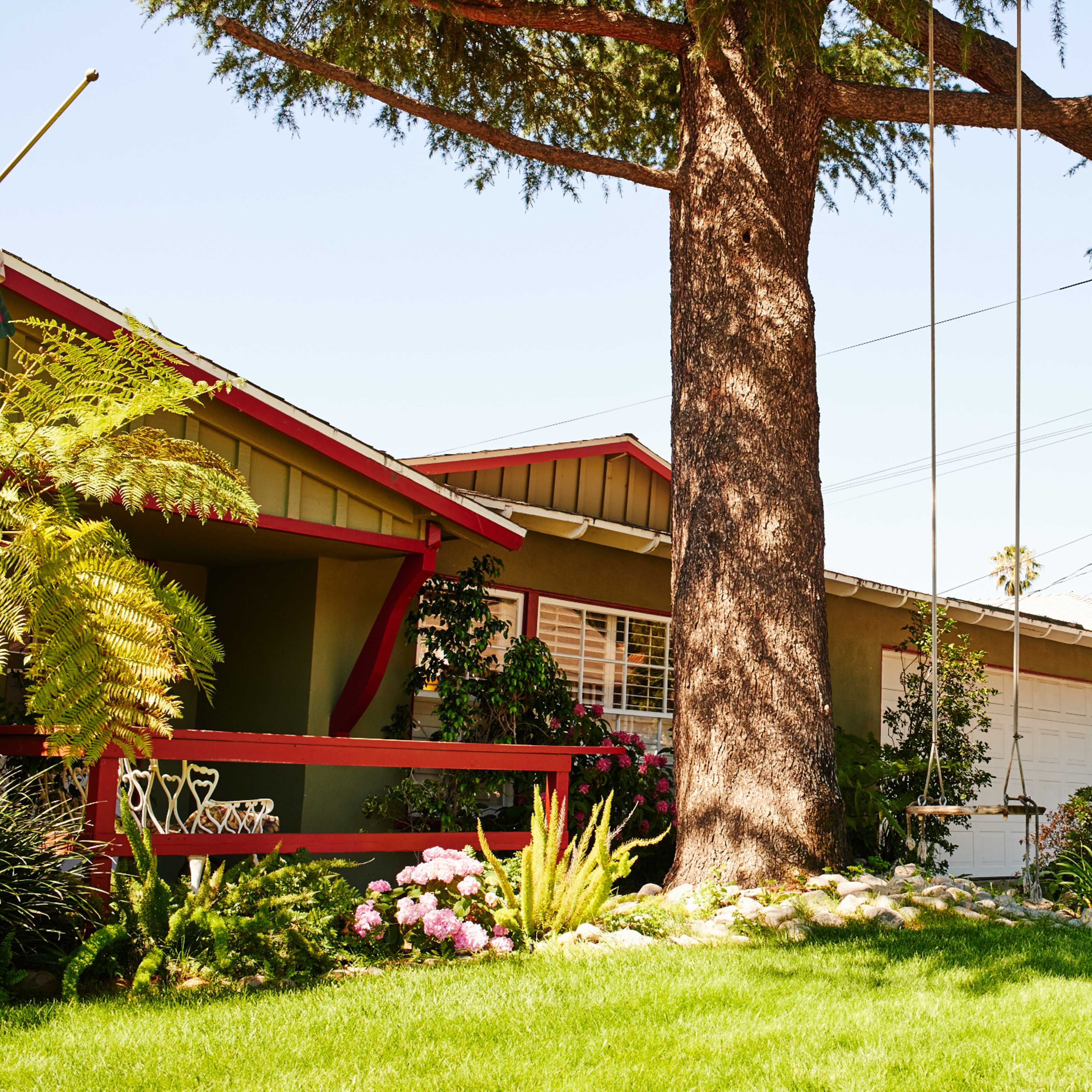 A swing hangs from a large tree in a front yard surrounded by lush greenery and blooming flowers near a residential home.