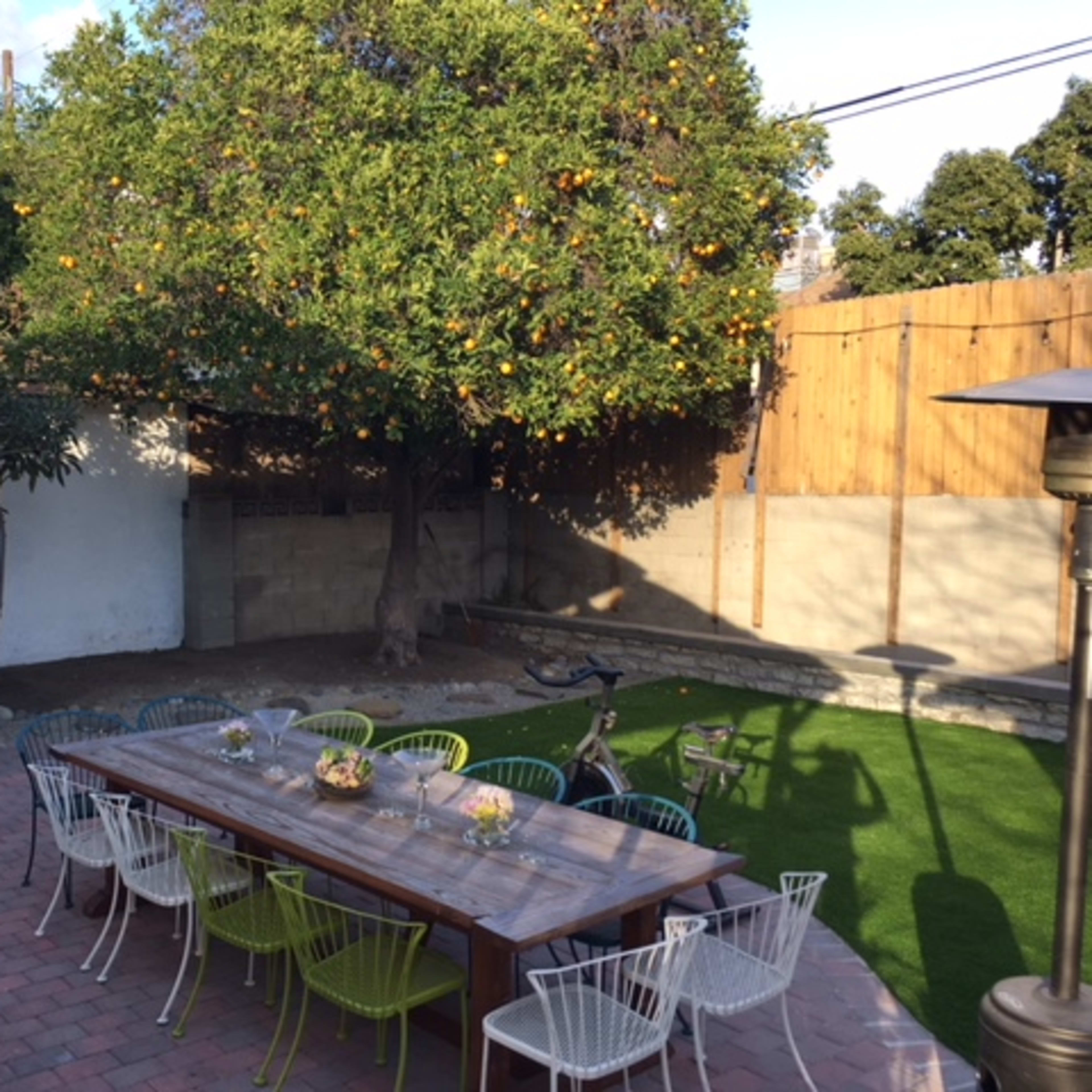 A landscaped backyard with a long wooden table surrounded by chairs, a large fruit-bearing tree, and a well-maintained lawn.