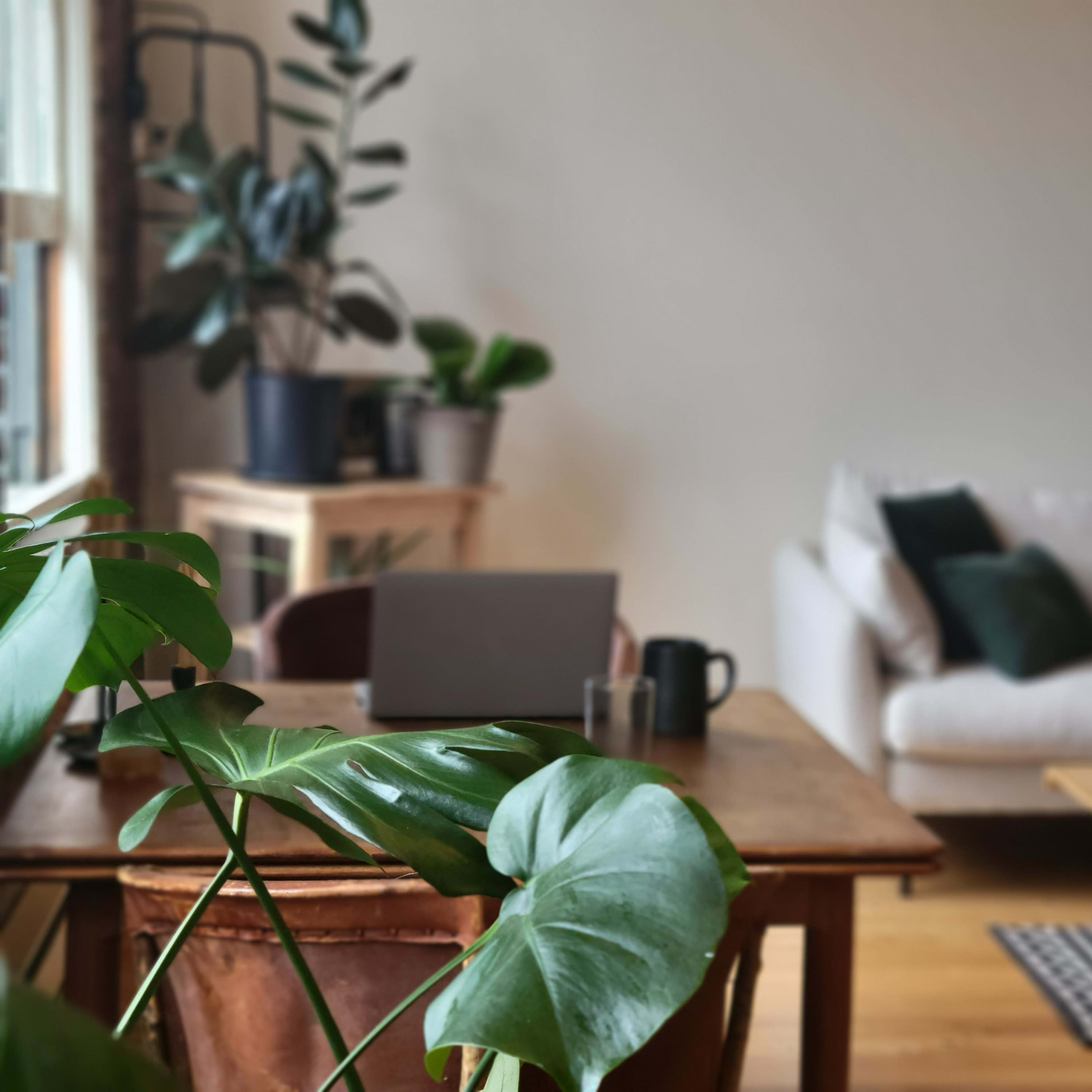 A wooden table with a laptop and a coffee cup is positioned near a window, while a light sofa and a vase of flowers are visible in the background.