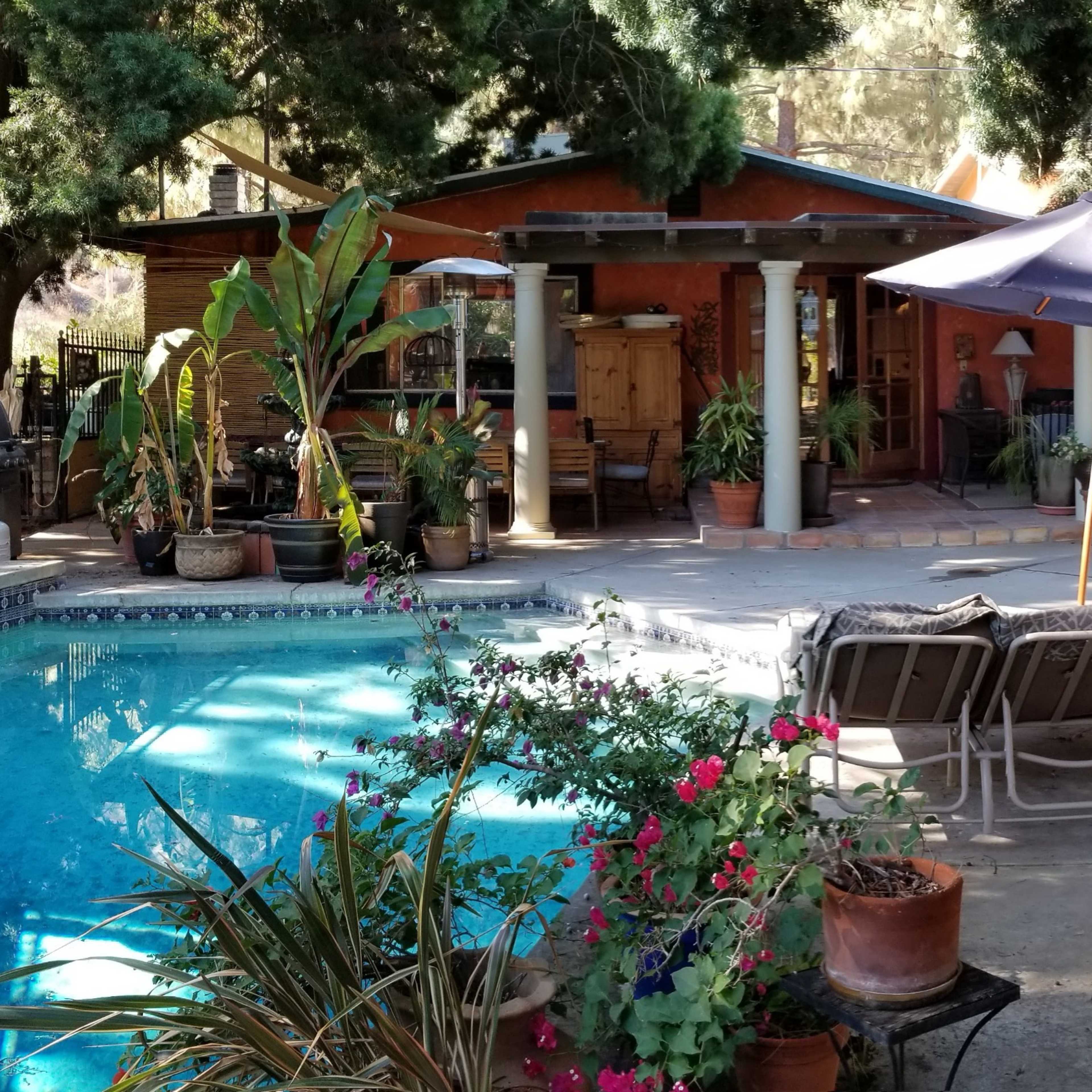 A landscaped backyard with a swimming pool surrounded by potted plants, lounge chairs, and a shaded patio area.