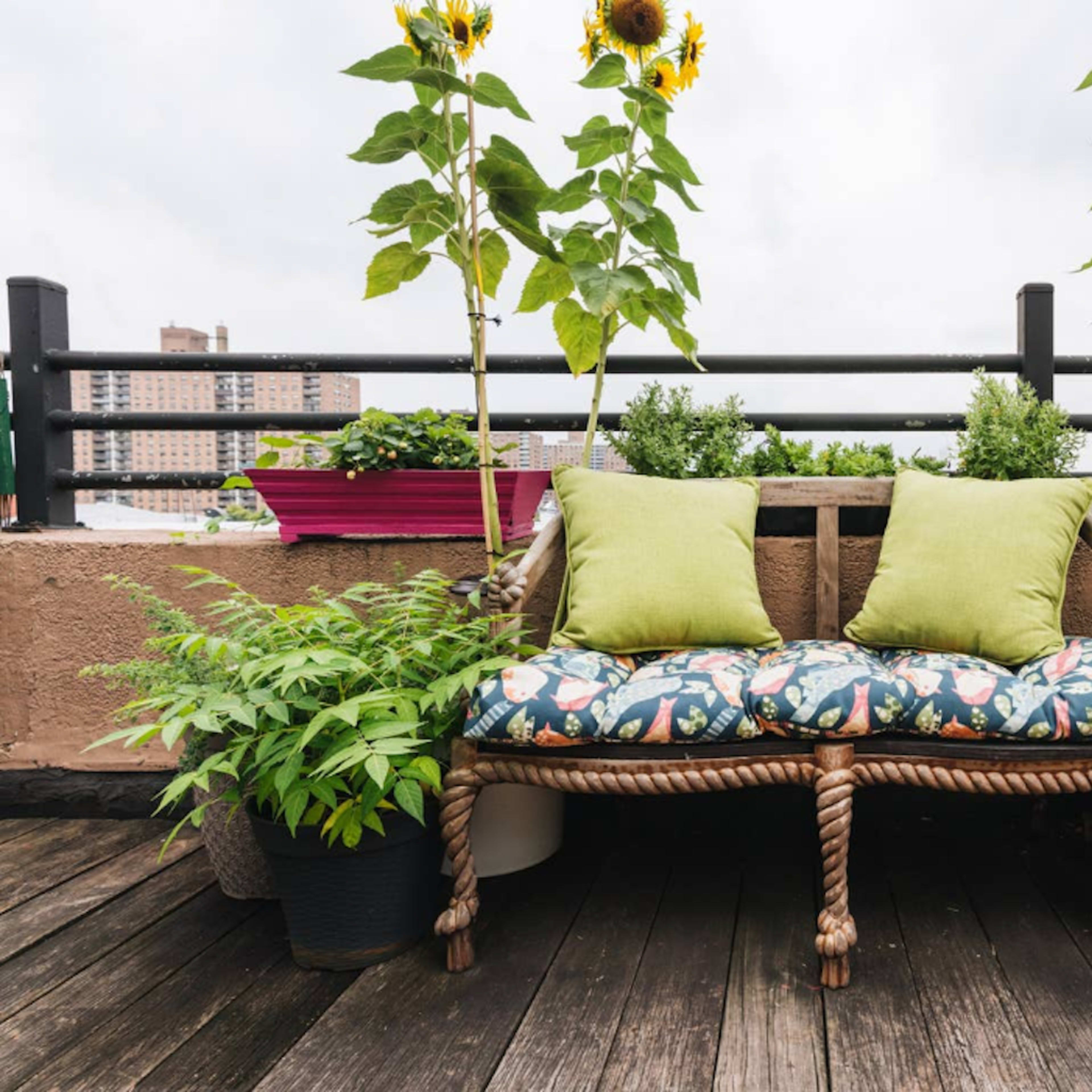 A spacious living area with large windows, hardwood floors, a brown leather sofa, plants, a bookshelf, and various musical instruments.