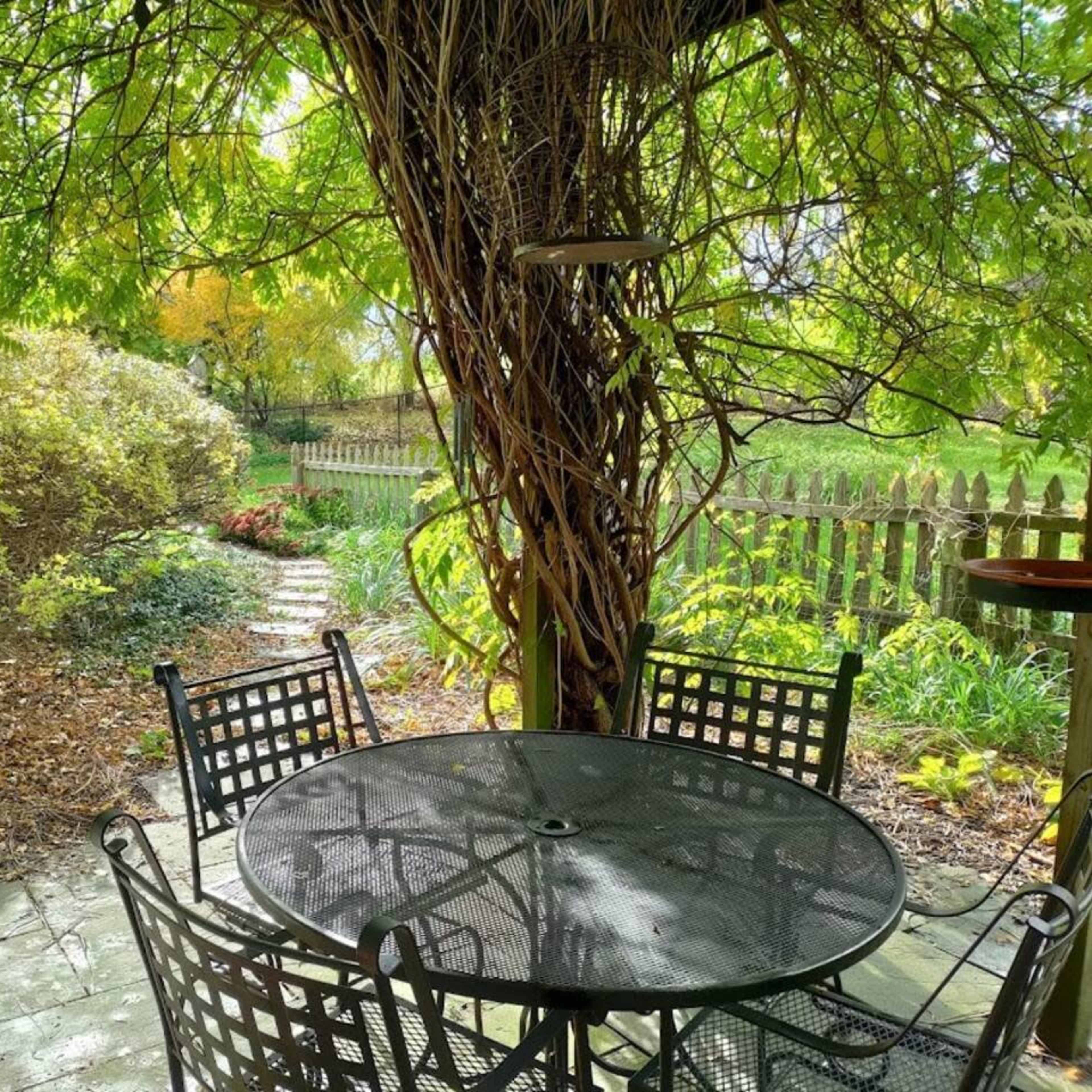 A table and chairs are set beneath a vine-covered structure, with a garden path and lush greenery visible in the background.