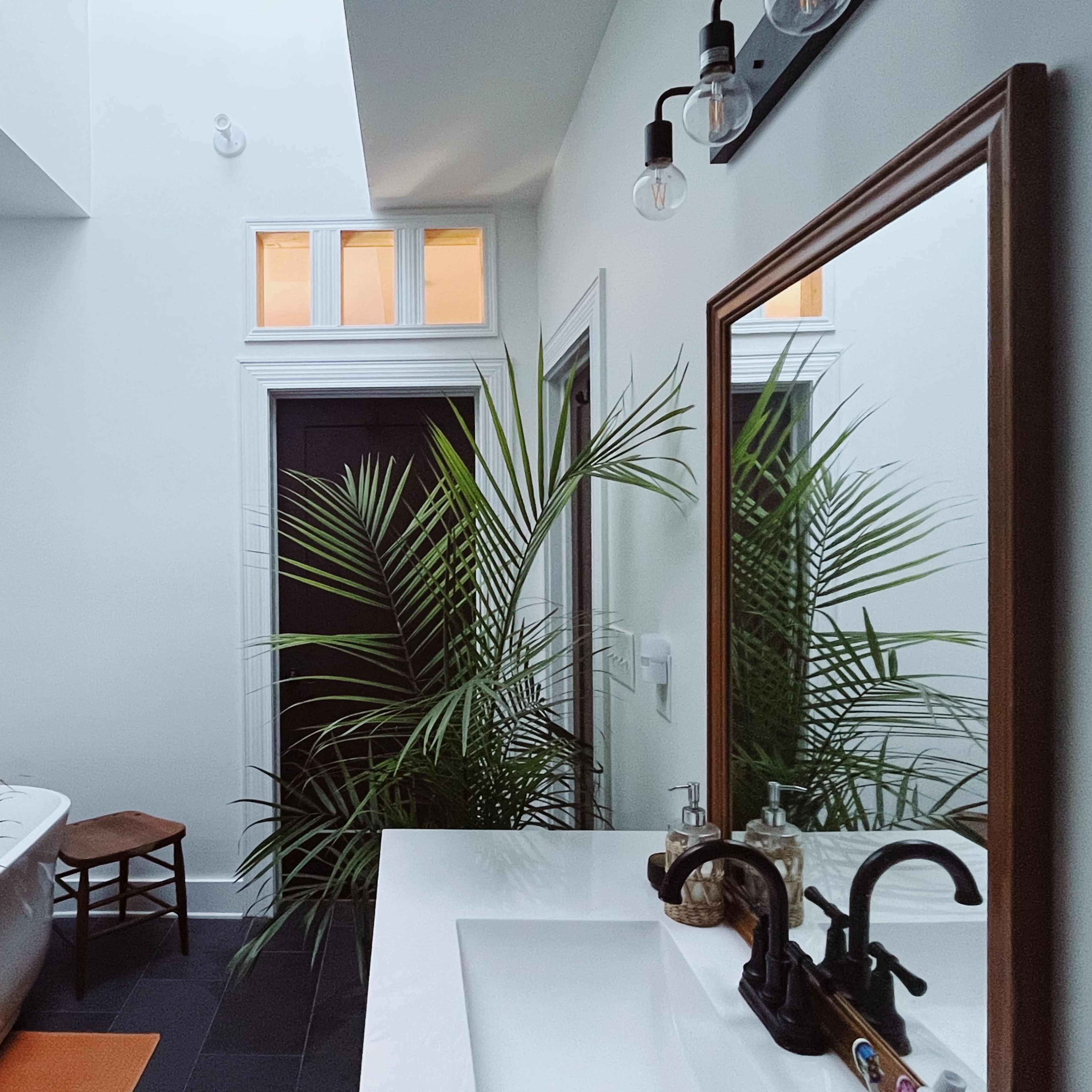 A modern bathroom featuring a freestanding bathtub, a black door, a rectangular mirror, and potted plants against white walls.