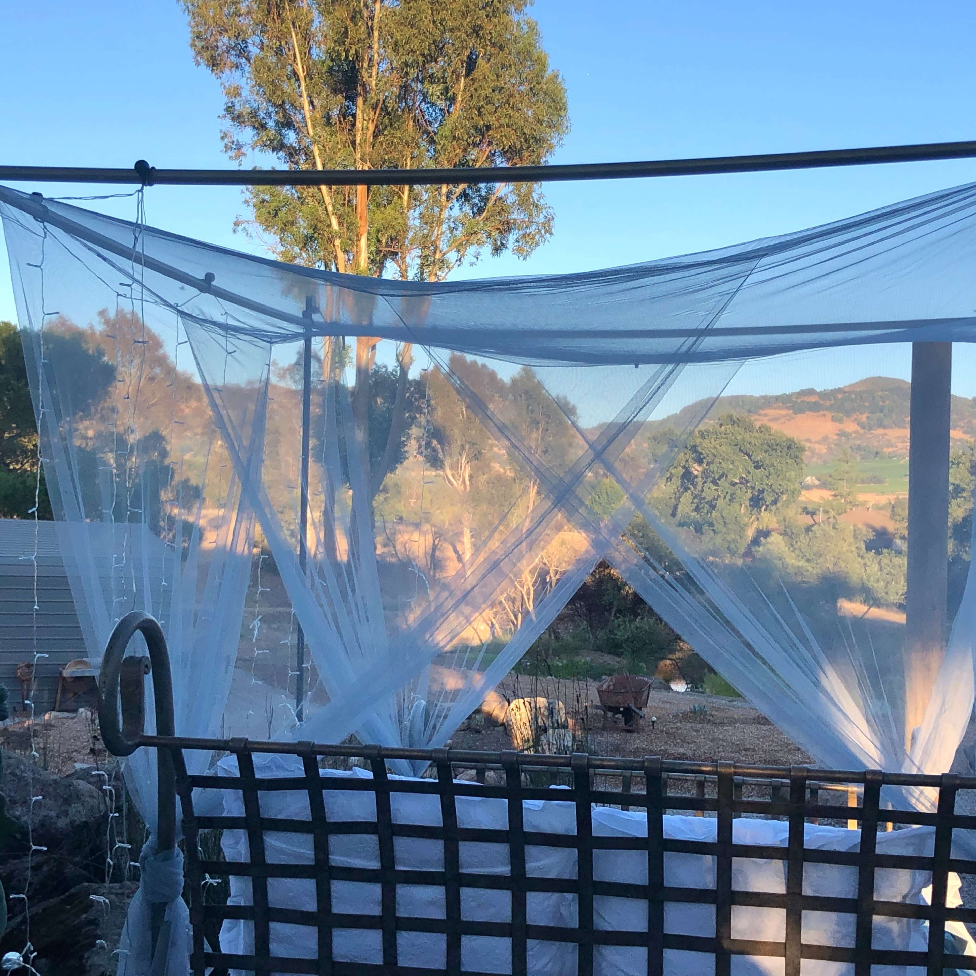 A canopy draped with sheer fabric is set up in a garden overlooking a mountainous landscape.