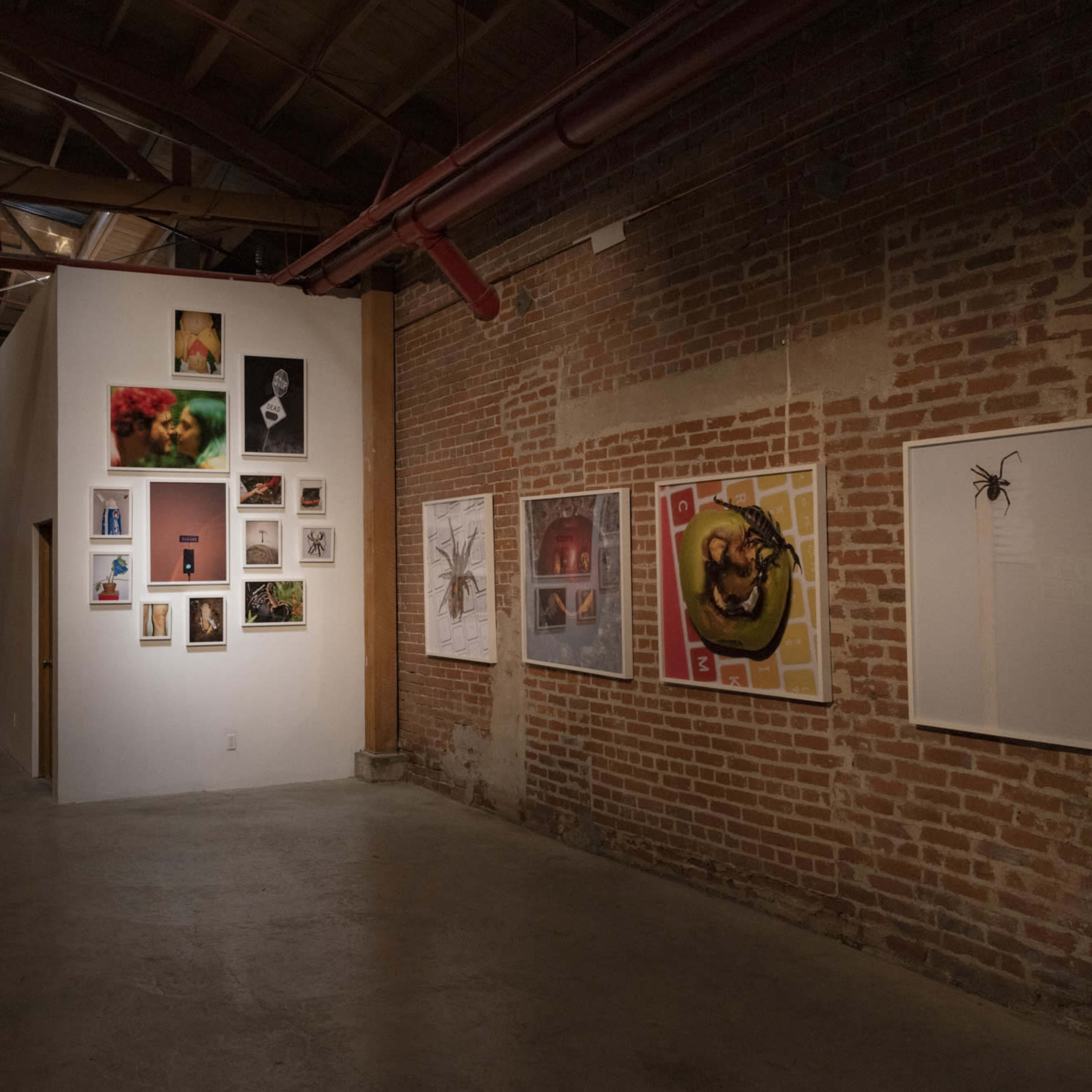 An art gallery with brick walls displaying various framed artworks, including photographs and illustrations, in a spacious, industrial-style setting.