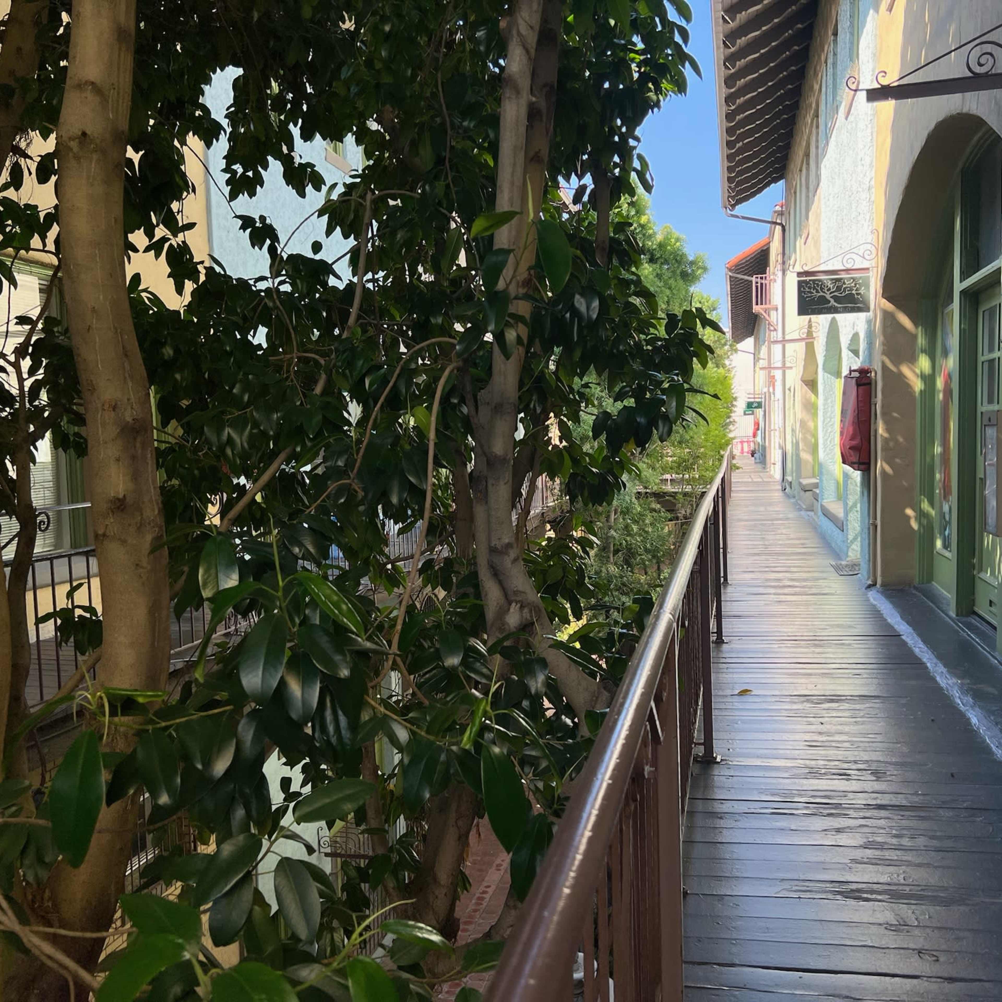A wooden walkway lined by trees, leading to colorful buildings in a bright setting.