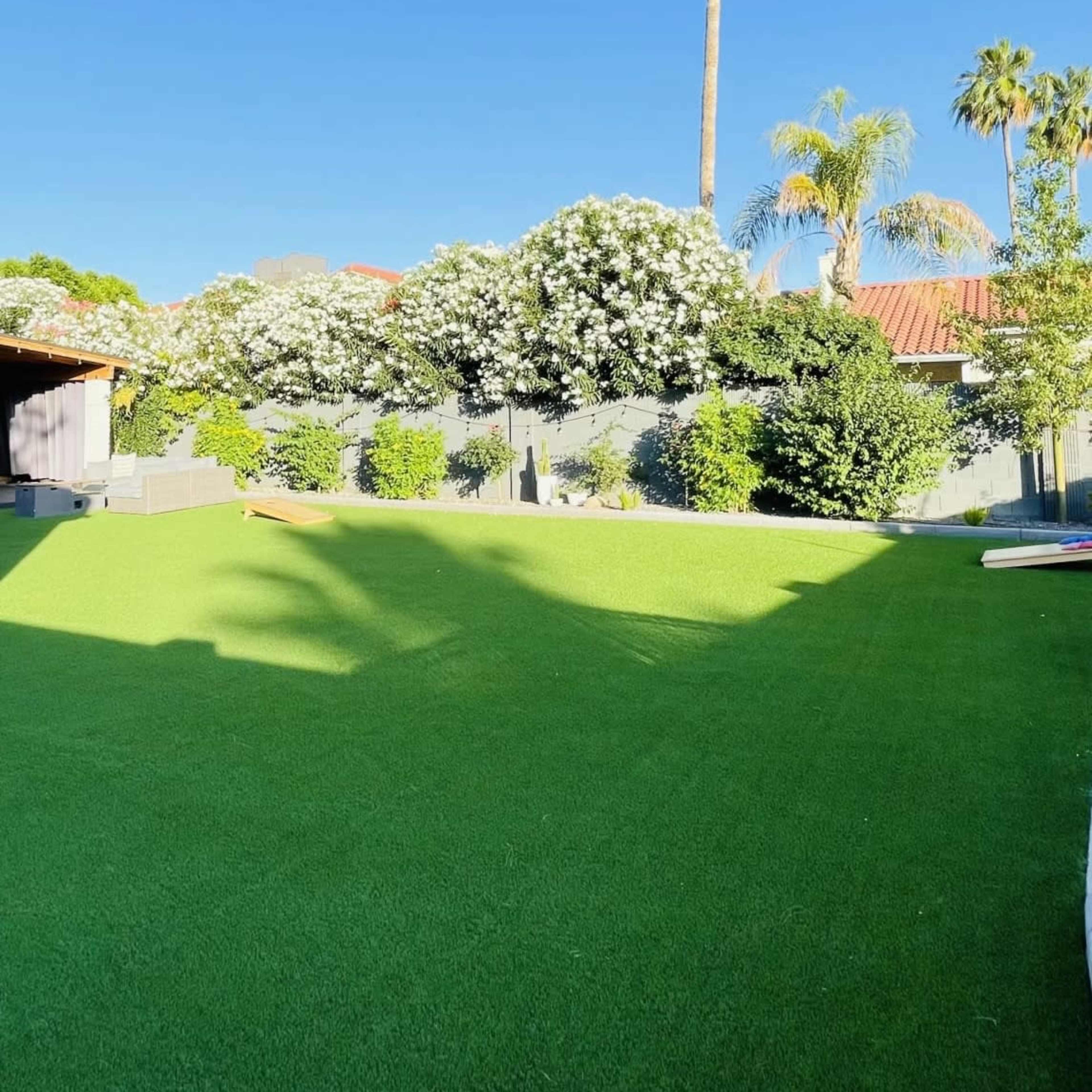 A vibrant green lawn is framed by blooming shrubs and tall palm trees under a clear blue sky.