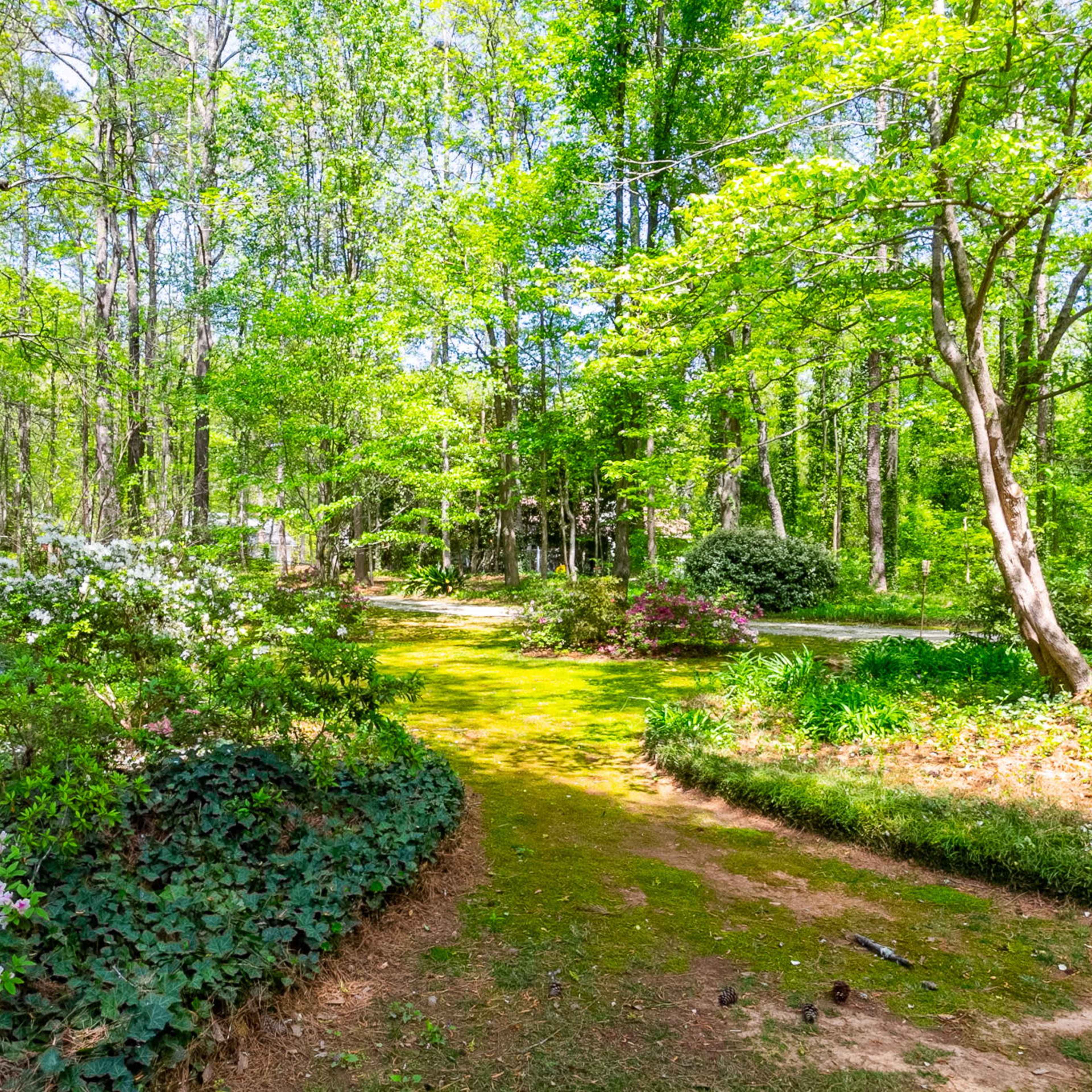 A winding path through a lush green forest is lined with blooming flowers and surrounded by tall trees.