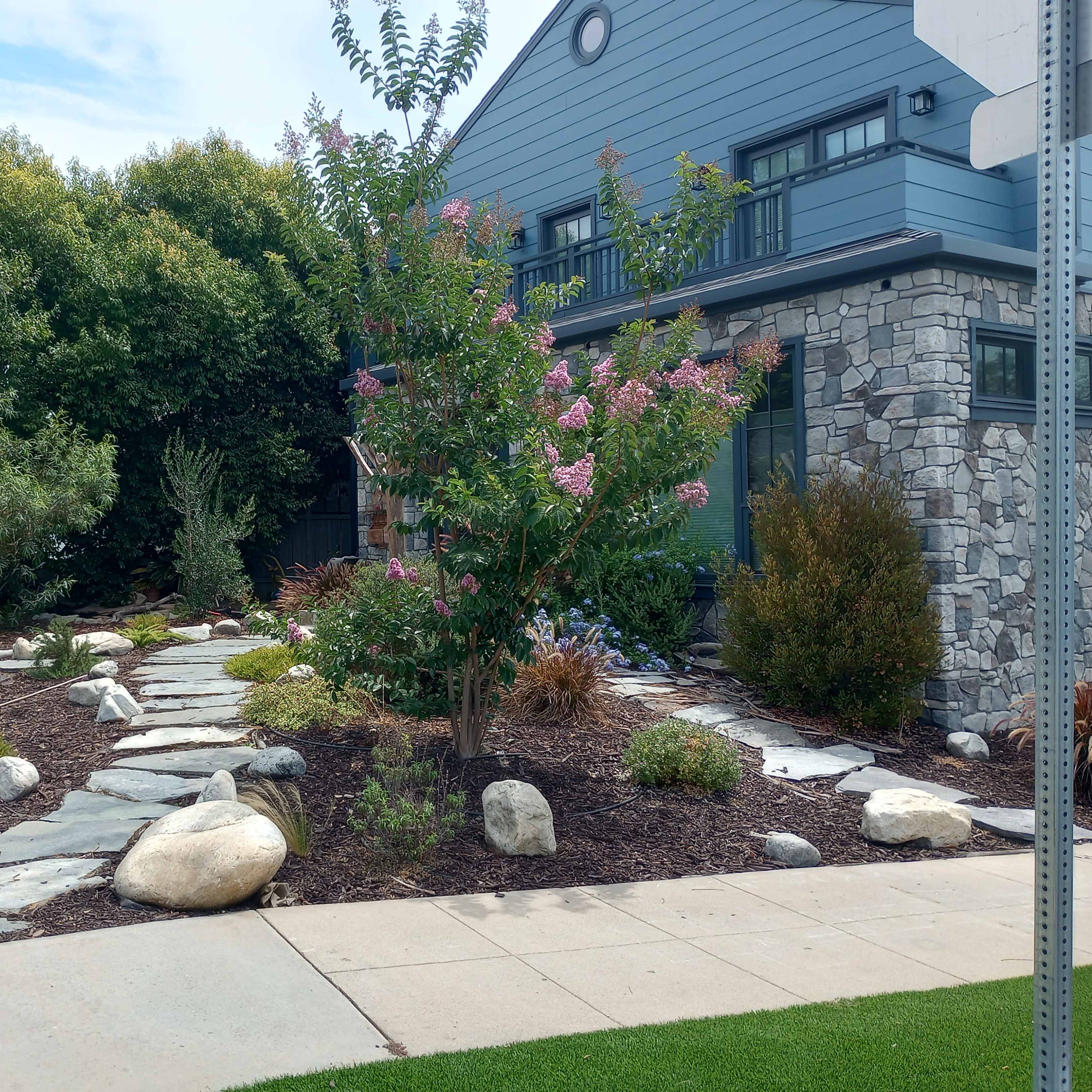 A garden features stone pathways, various plants, and decorative rocks alongside a modern house.