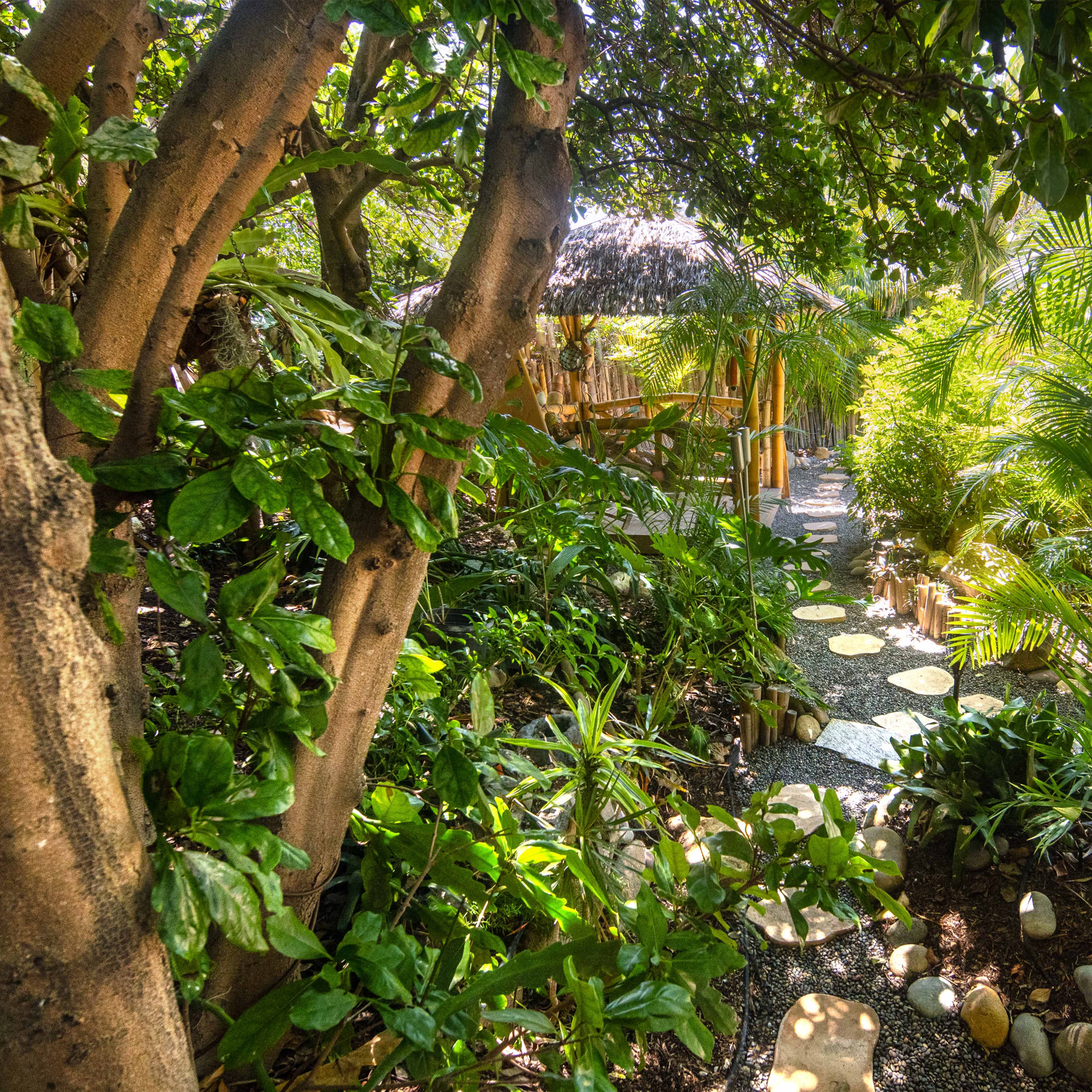 A stone pathway winds through lush greenery leading to a thatched-roof structure.