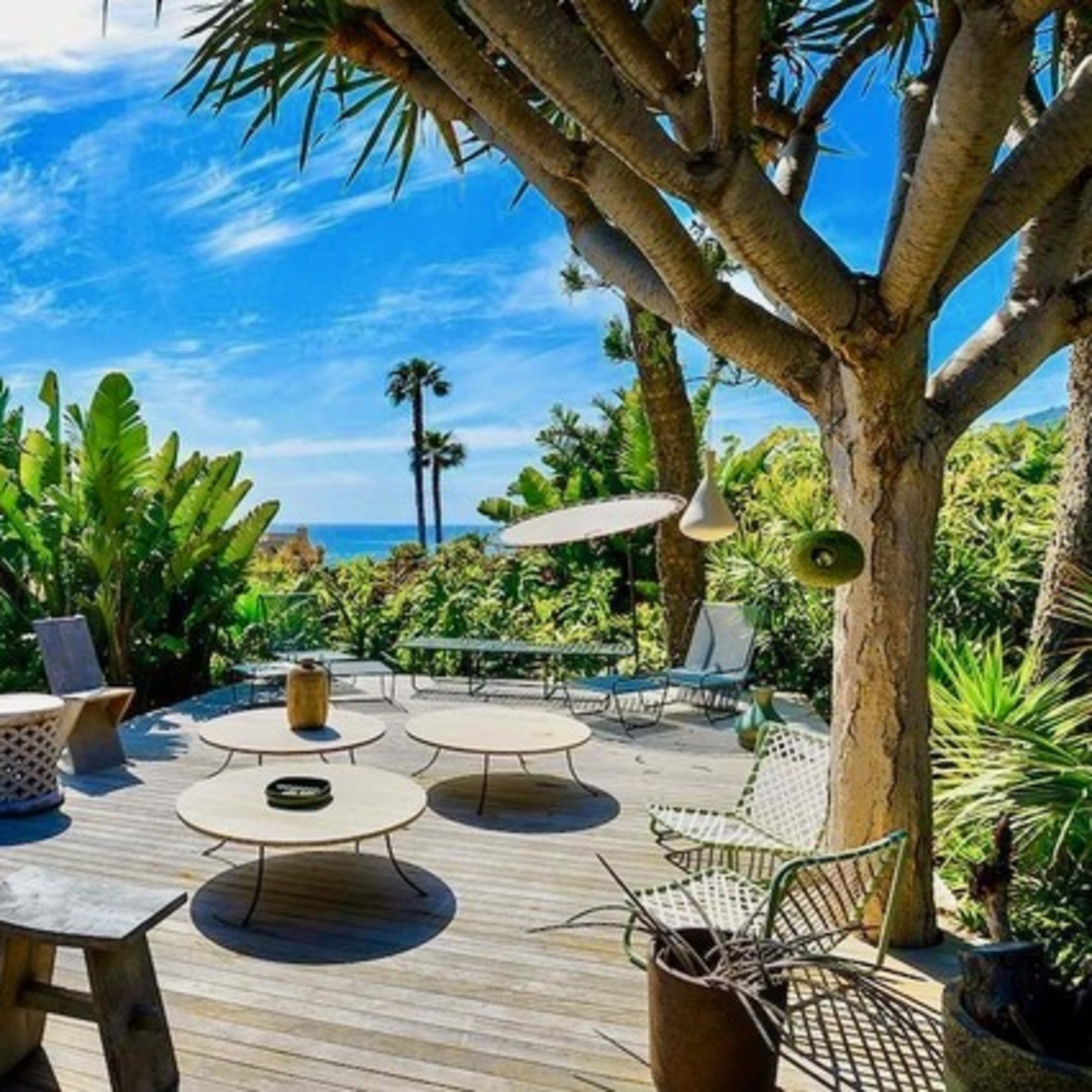 A wooden patio surrounded by tropical plants and overlooking the ocean under a clear blue sky.