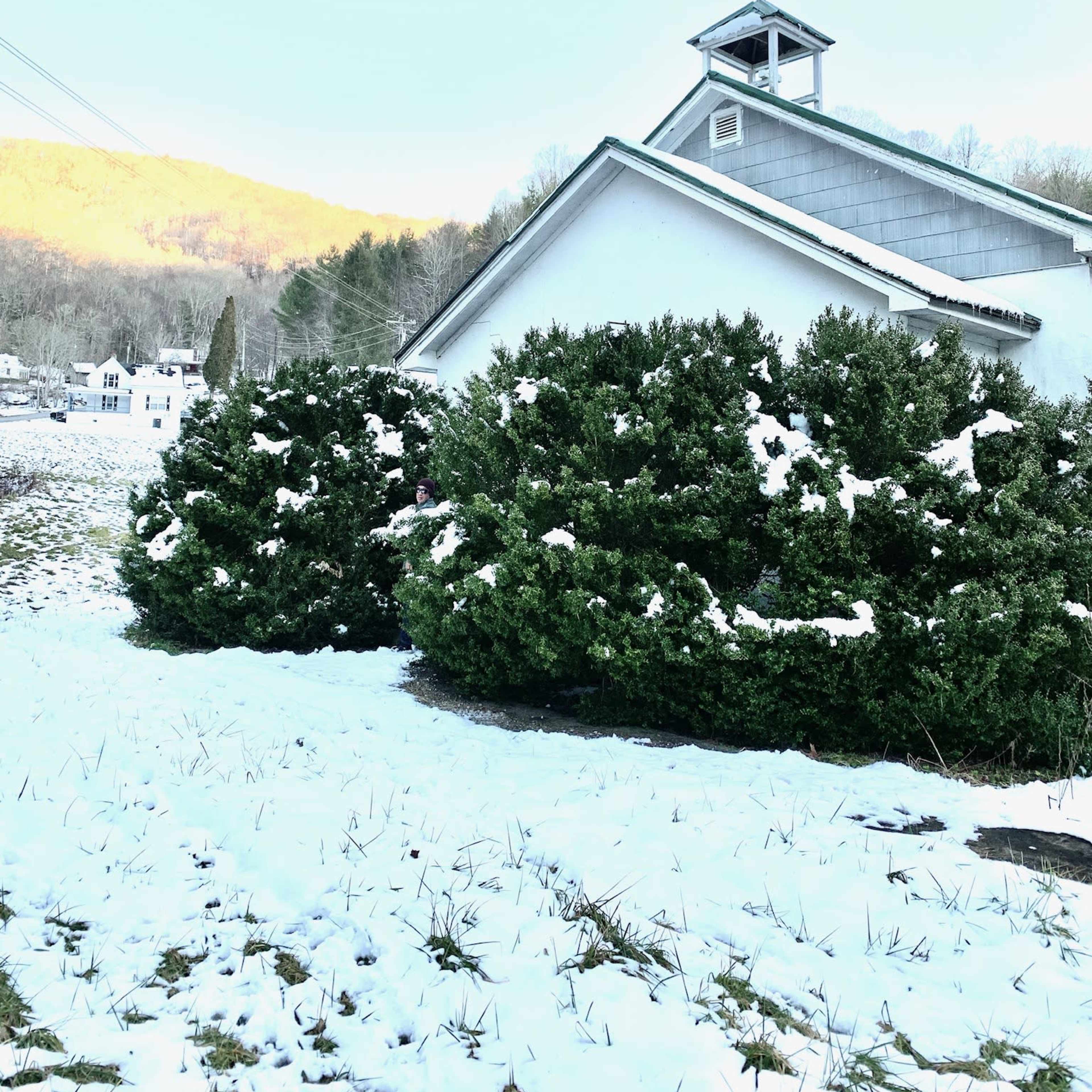 A snow-covered church stands beside a row of bushy green shrubs, with a mountainside visible in the background.