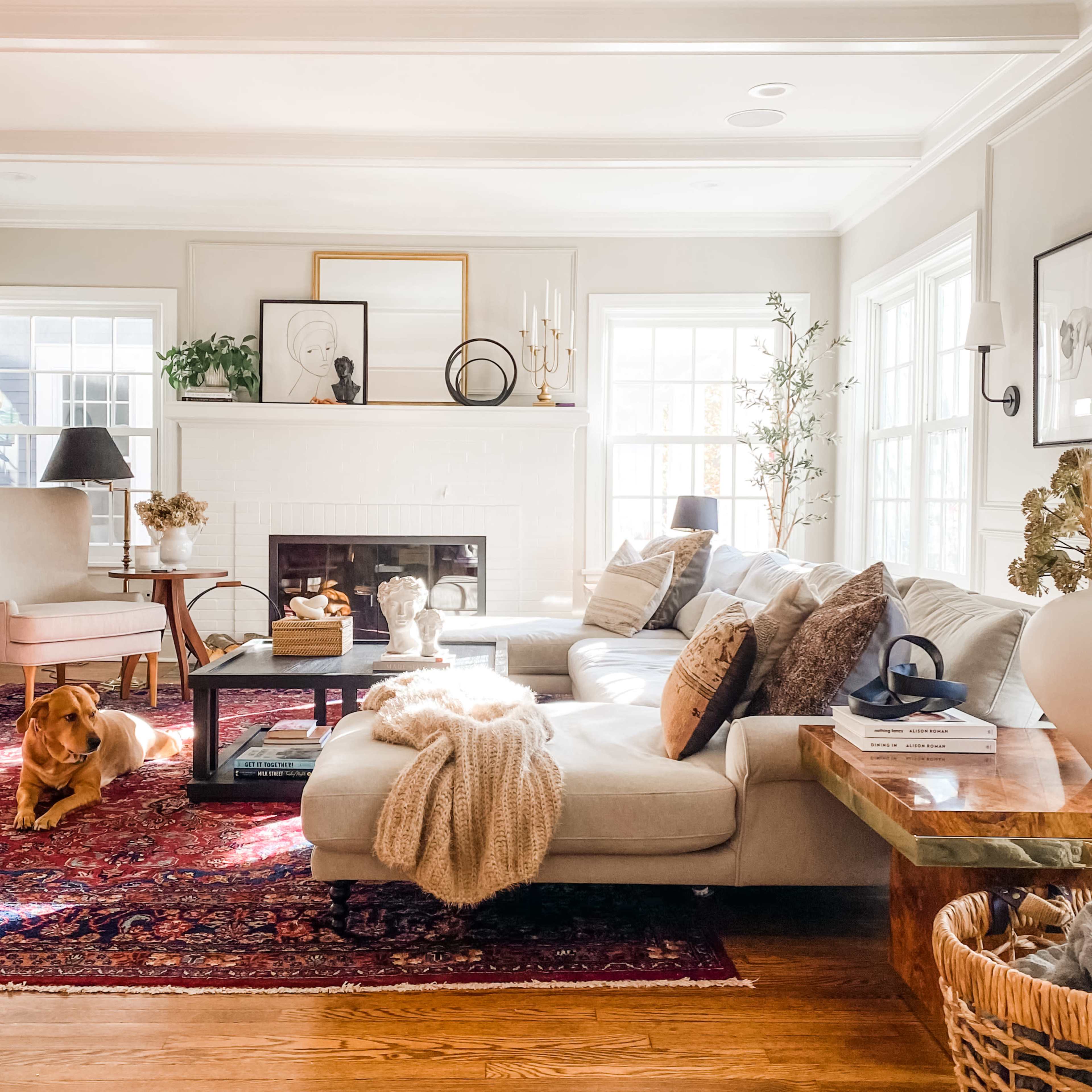 A cozy living room features a sectional sofa with decorative pillows, a coffee table, a fireplace, and a dog resting on a colorful rug.