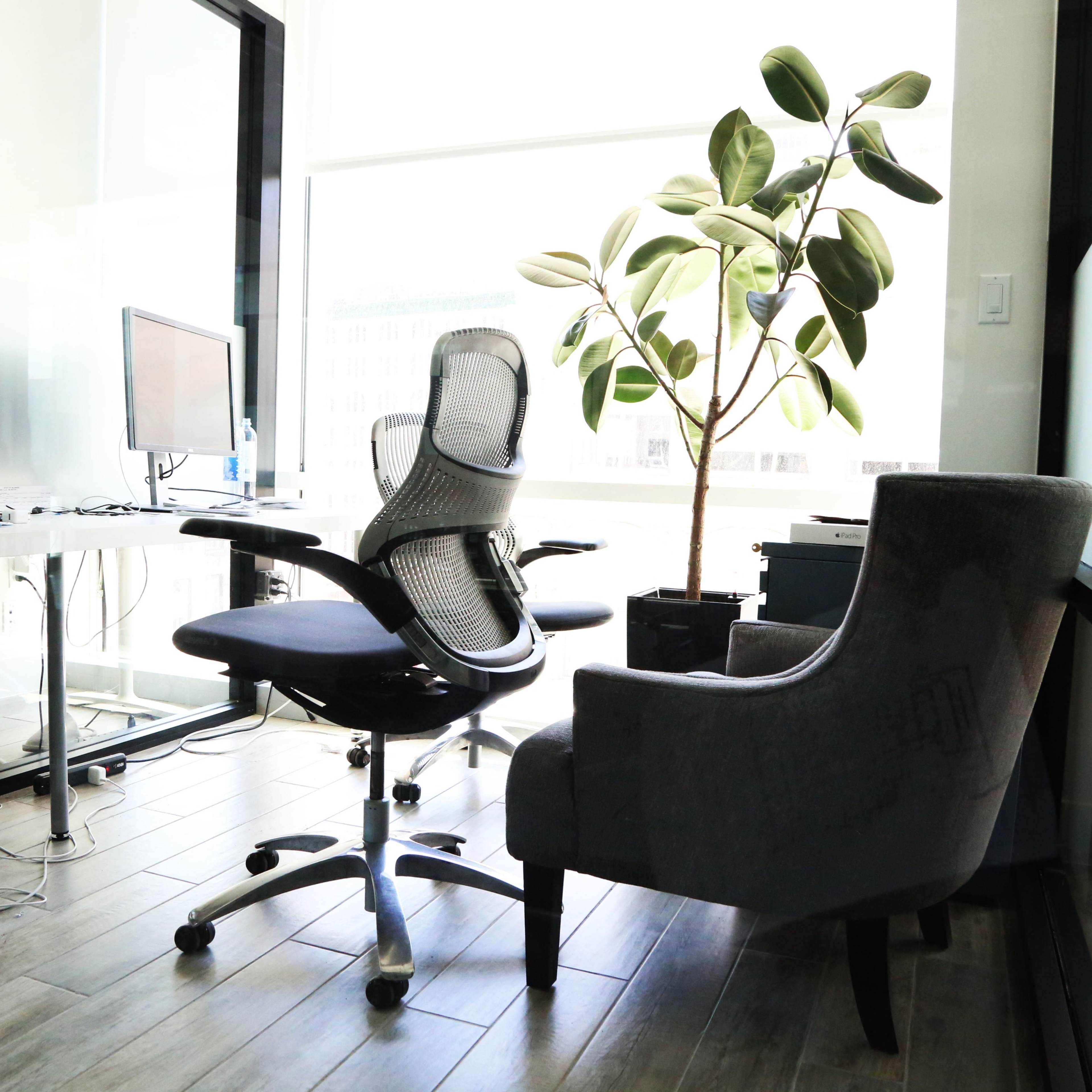 An office space features a desk with a computer monitor, an ergonomic chair, and a potted plant beside a cozy armchair.