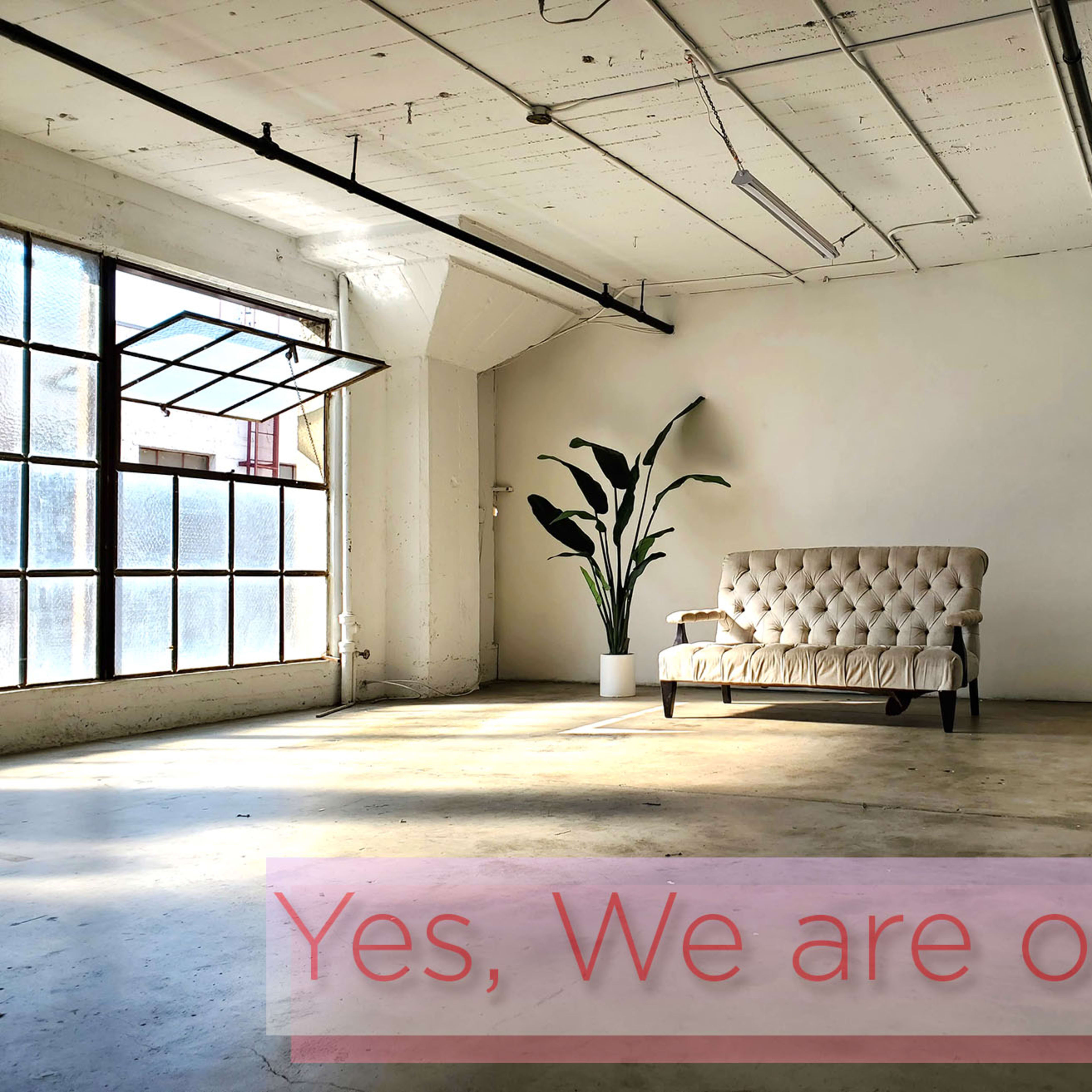 An empty industrial space features a tufted sofa near a large window with natural light and a tall plant in a pot beside it.
