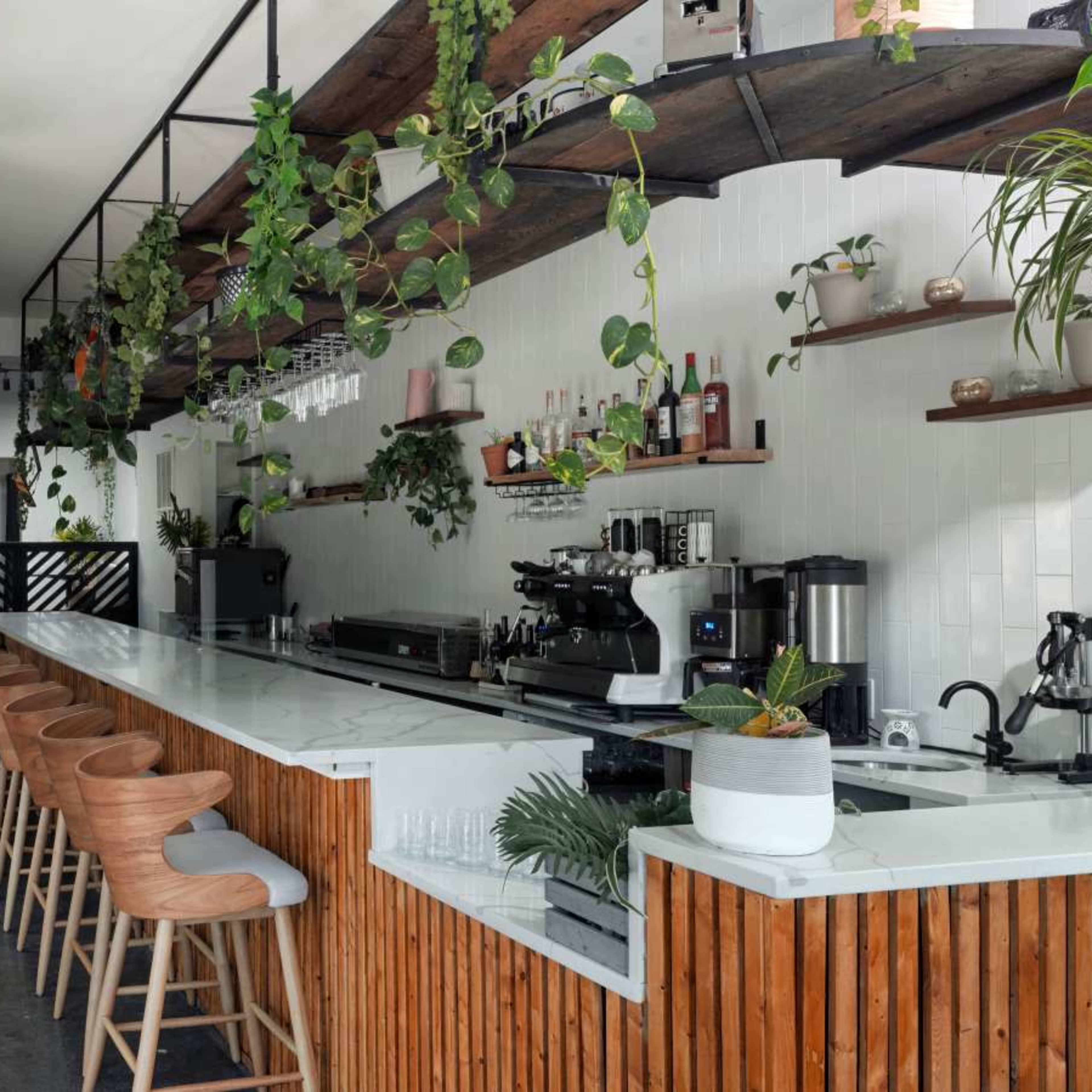 A modern café interior with a long wooden bar, overhead plants, and a coffee machine along the back wall.