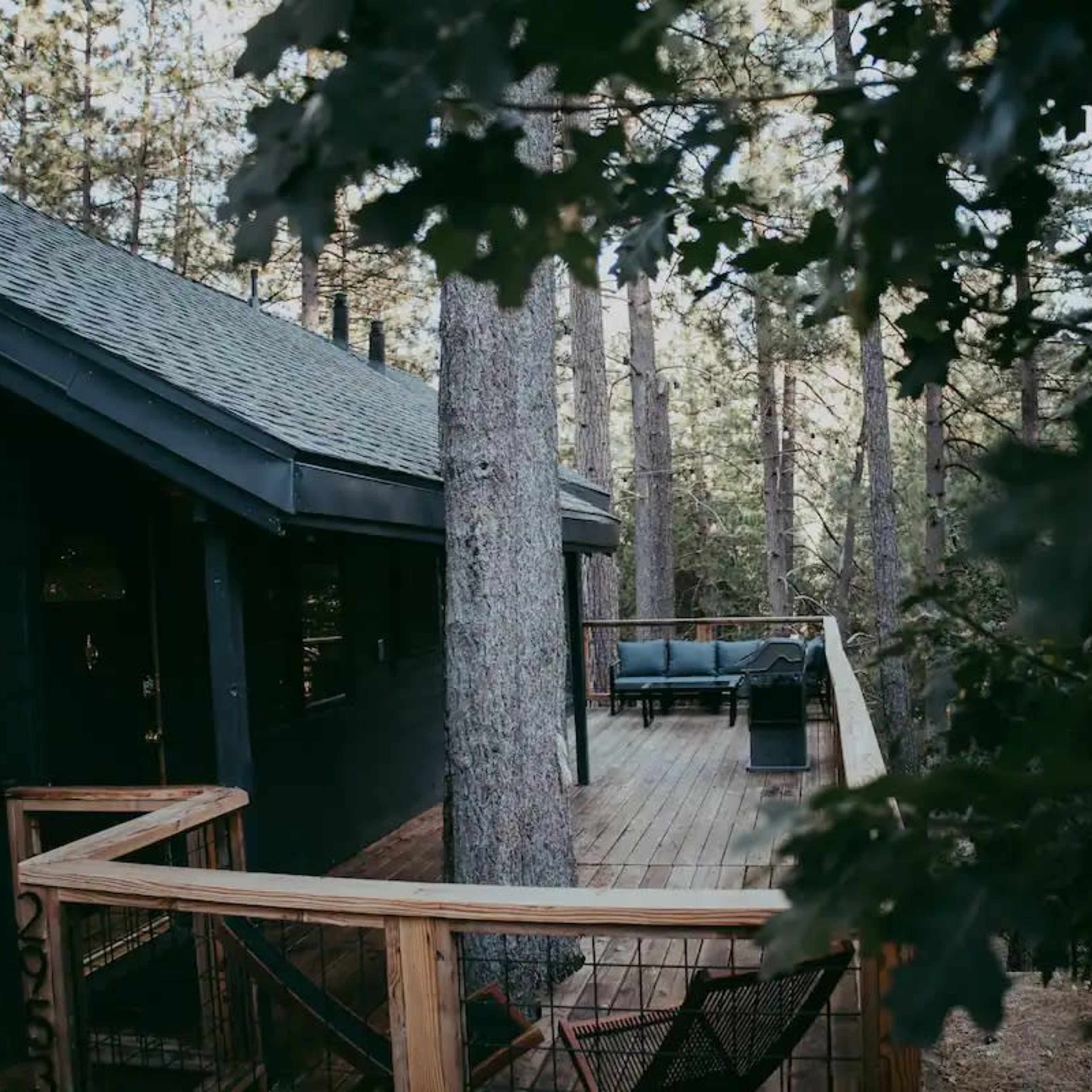 A wooden deck extends from a cabin nestled among tall trees in a forested area.