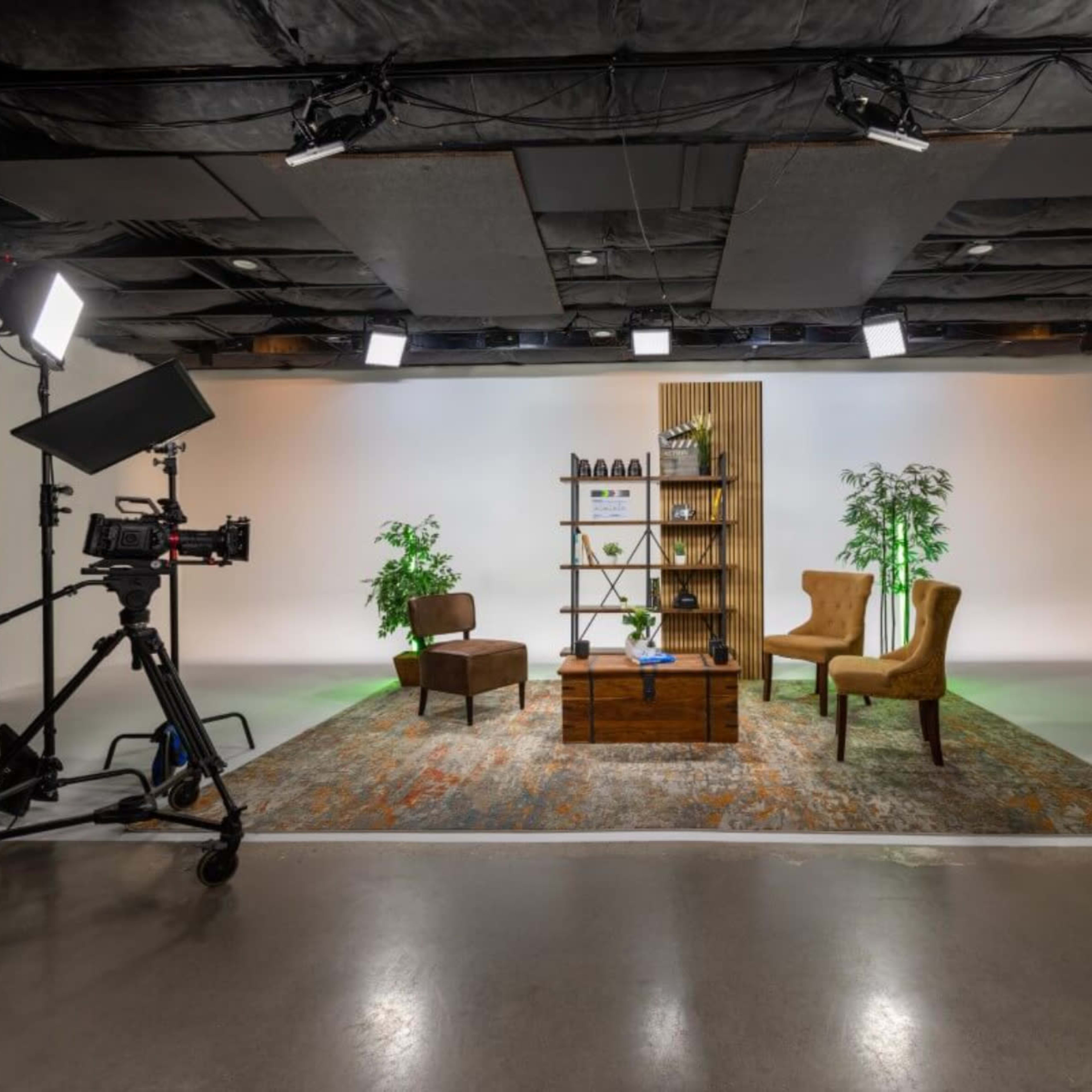 A well-lit studio setup with two chairs, a wooden table, and decorative plants arranged around a backdrop.