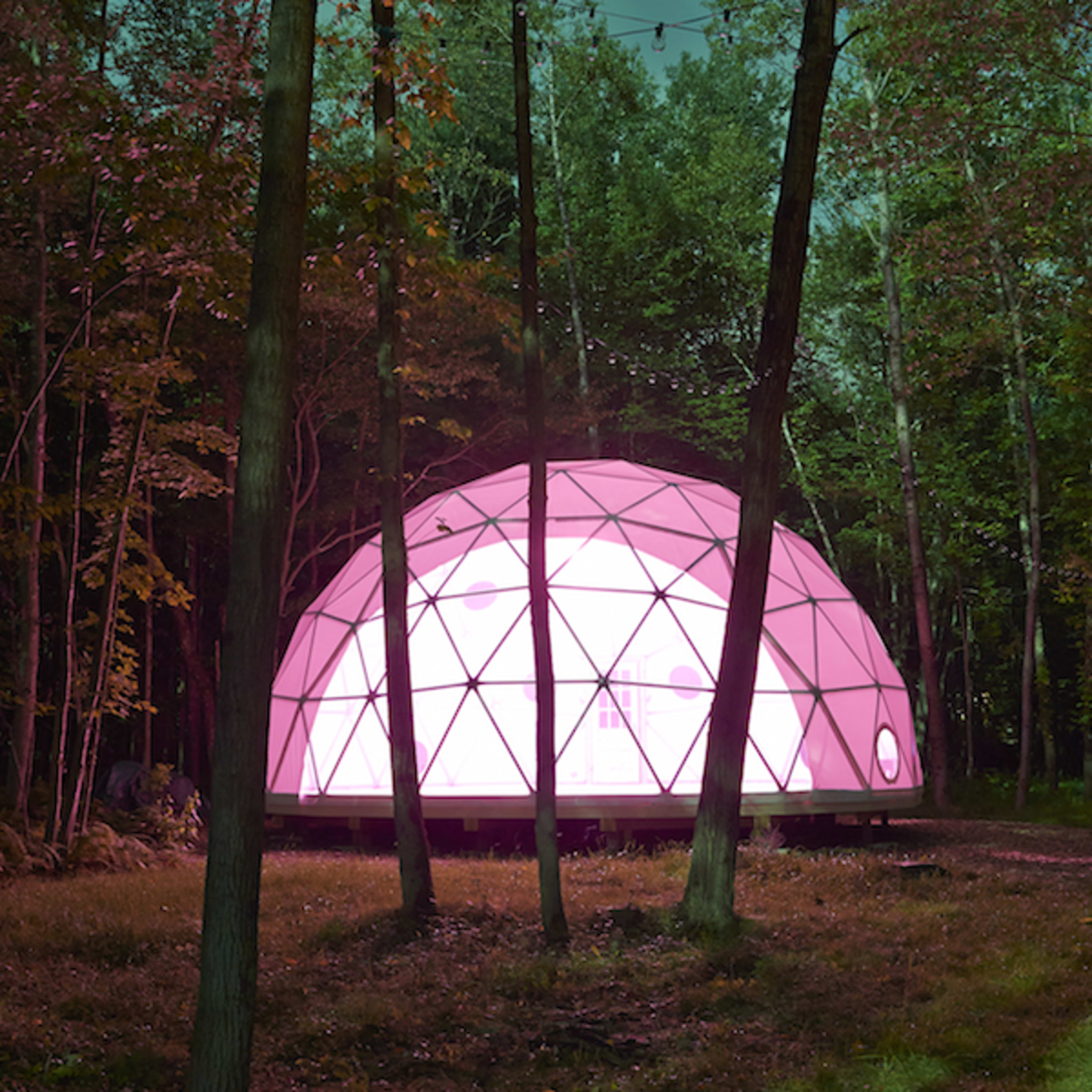 A geodesic dome structure with pink illumination is situated in a wooded area surrounded by trees.