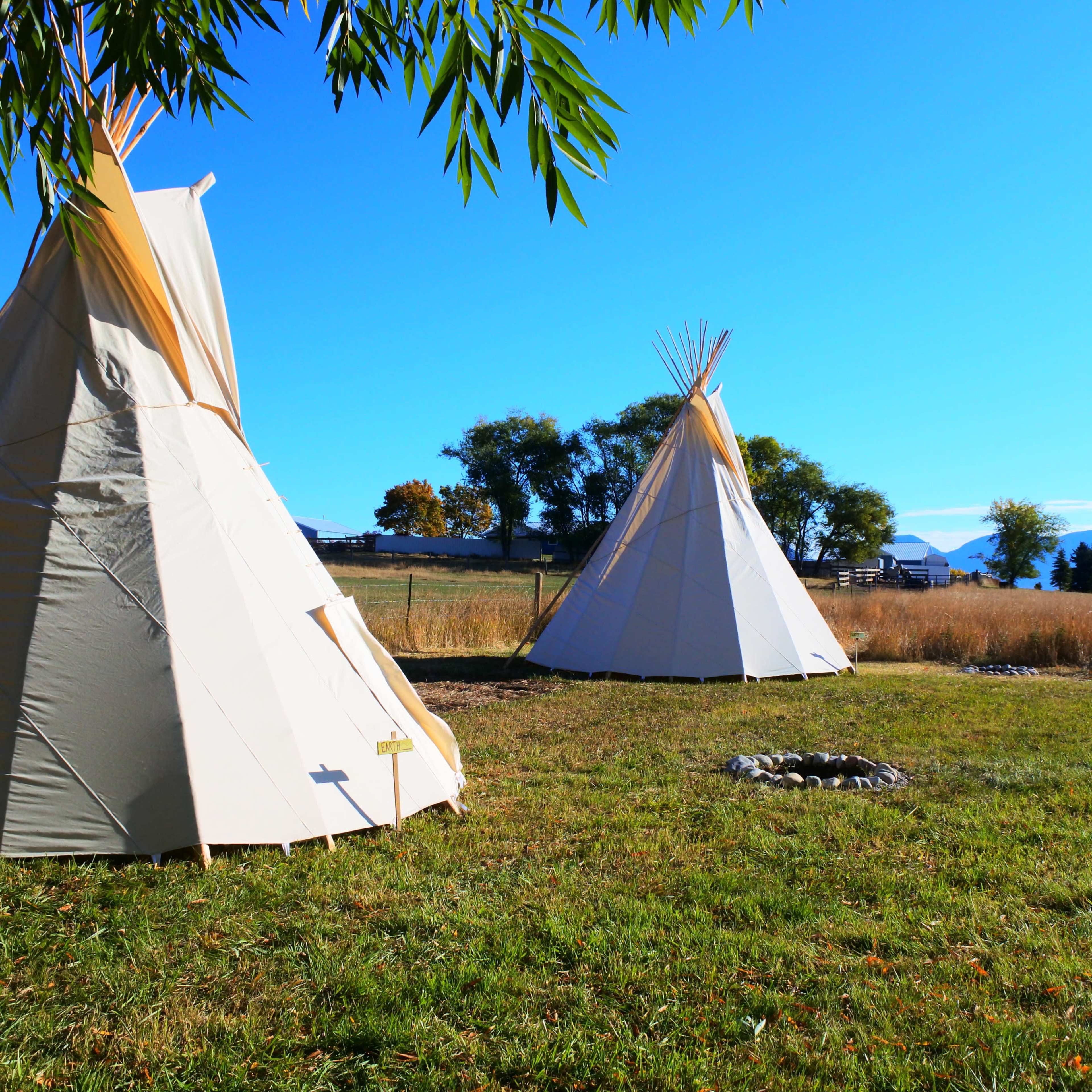 Two teepees are set up on a grassy area surrounded by trees and distant mountains under a clear blue sky.