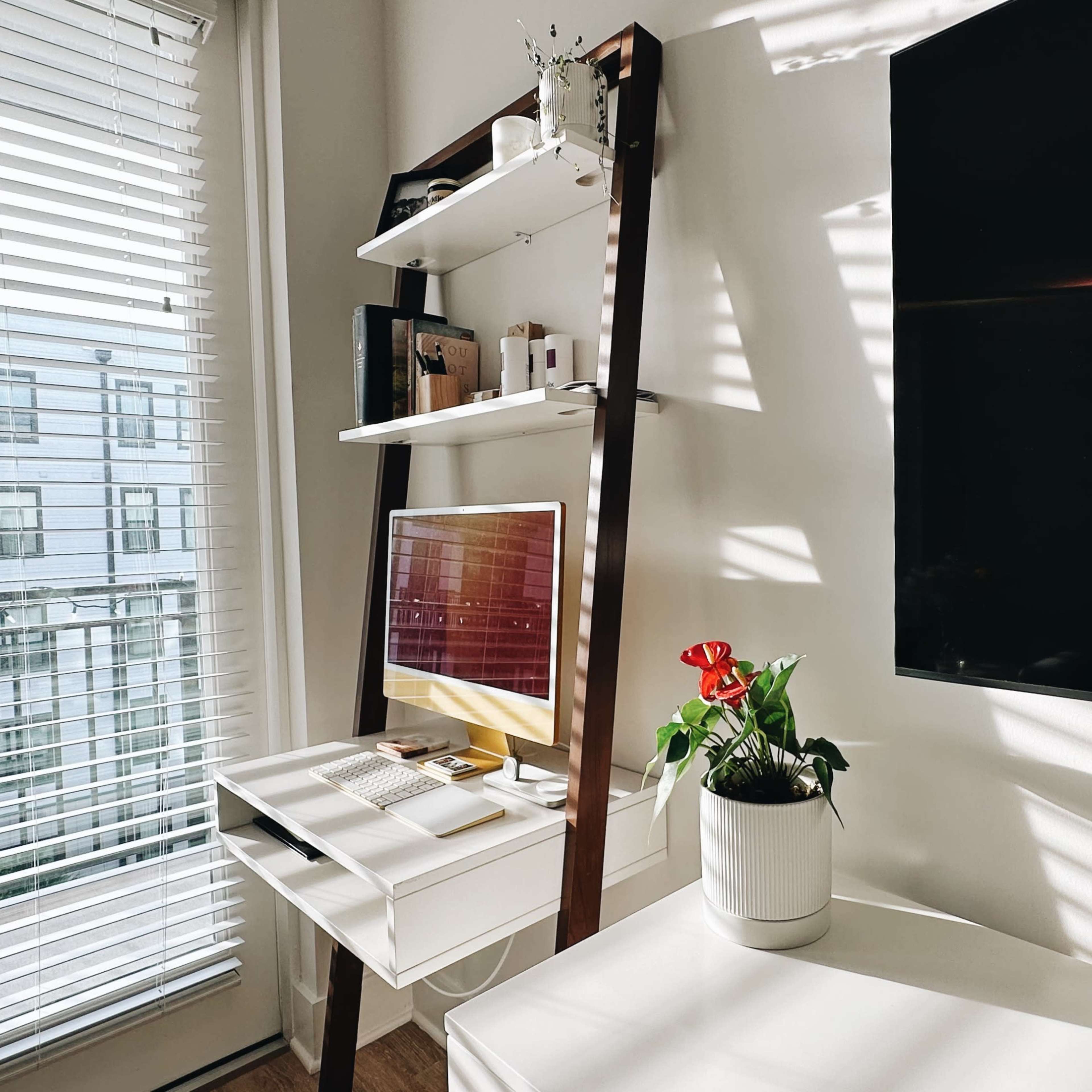 A workspace is set up near a window with a computer on a desk, a potted plant, and a flat-screen TV mounted on the wall.