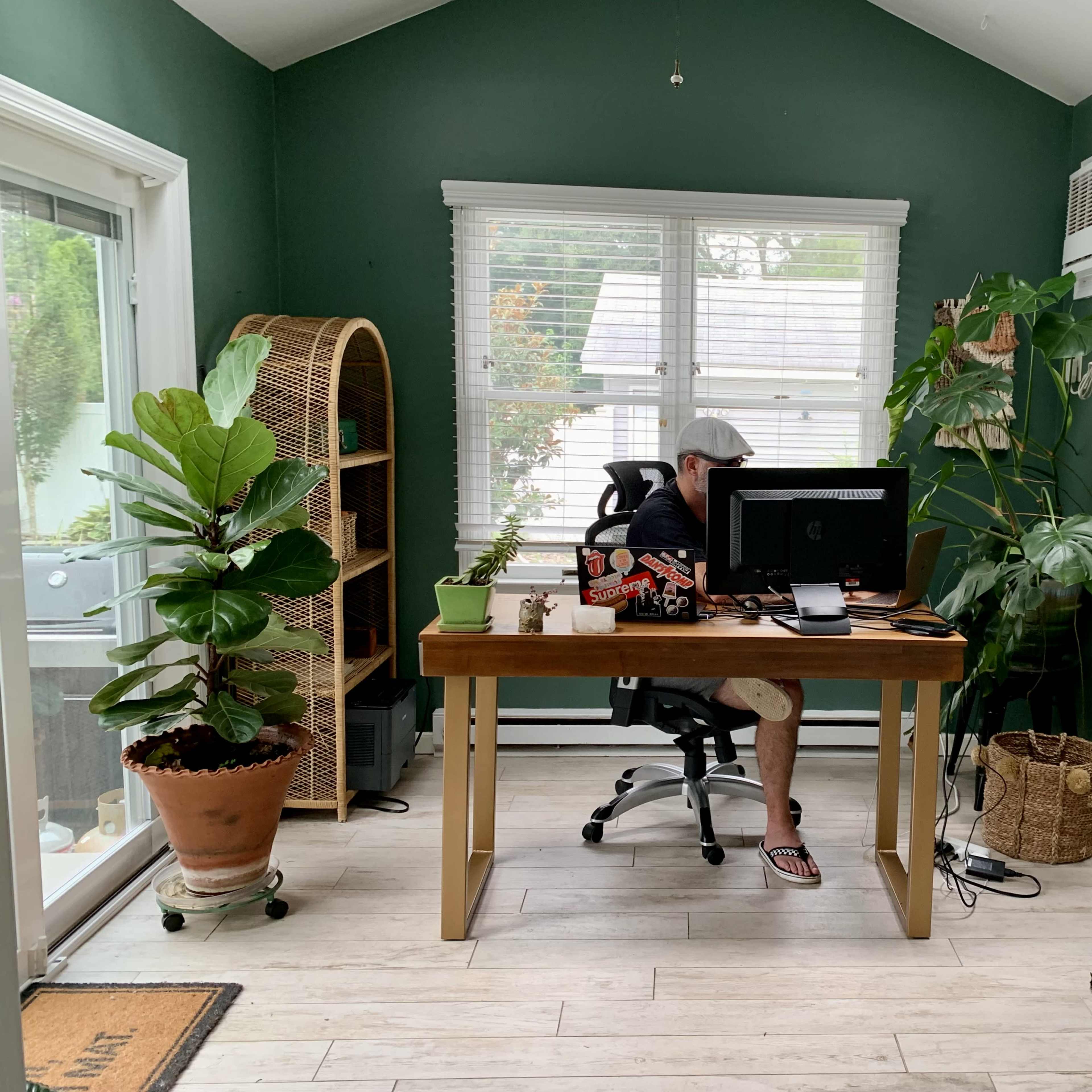 A person sits at a wooden desk in a green-walled room, working on a computer surrounded by plants and decorative items.