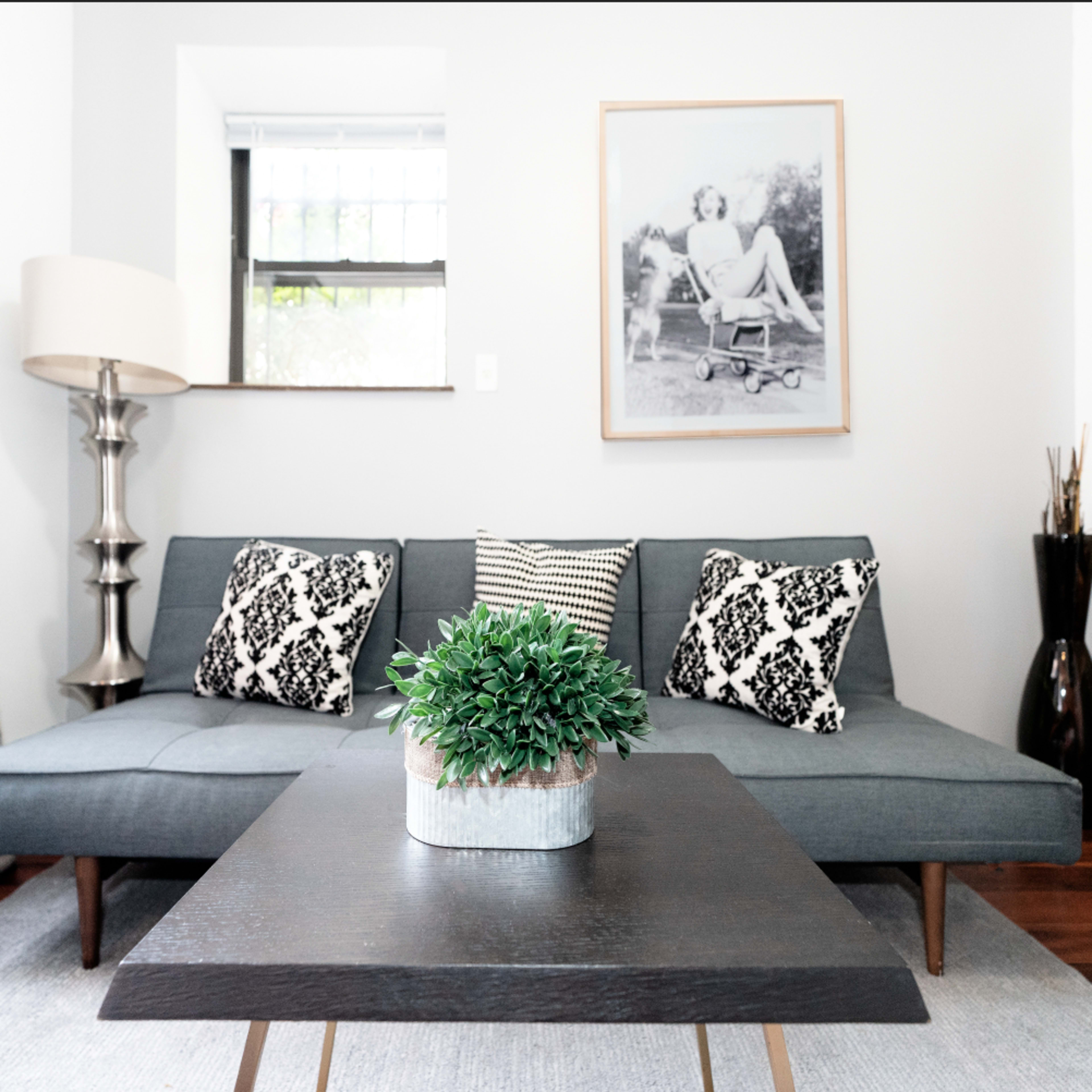 A living room with a gray sofa adorned with patterned pillows, a wooden coffee table with a potted plant, and a framed photo on the wall.