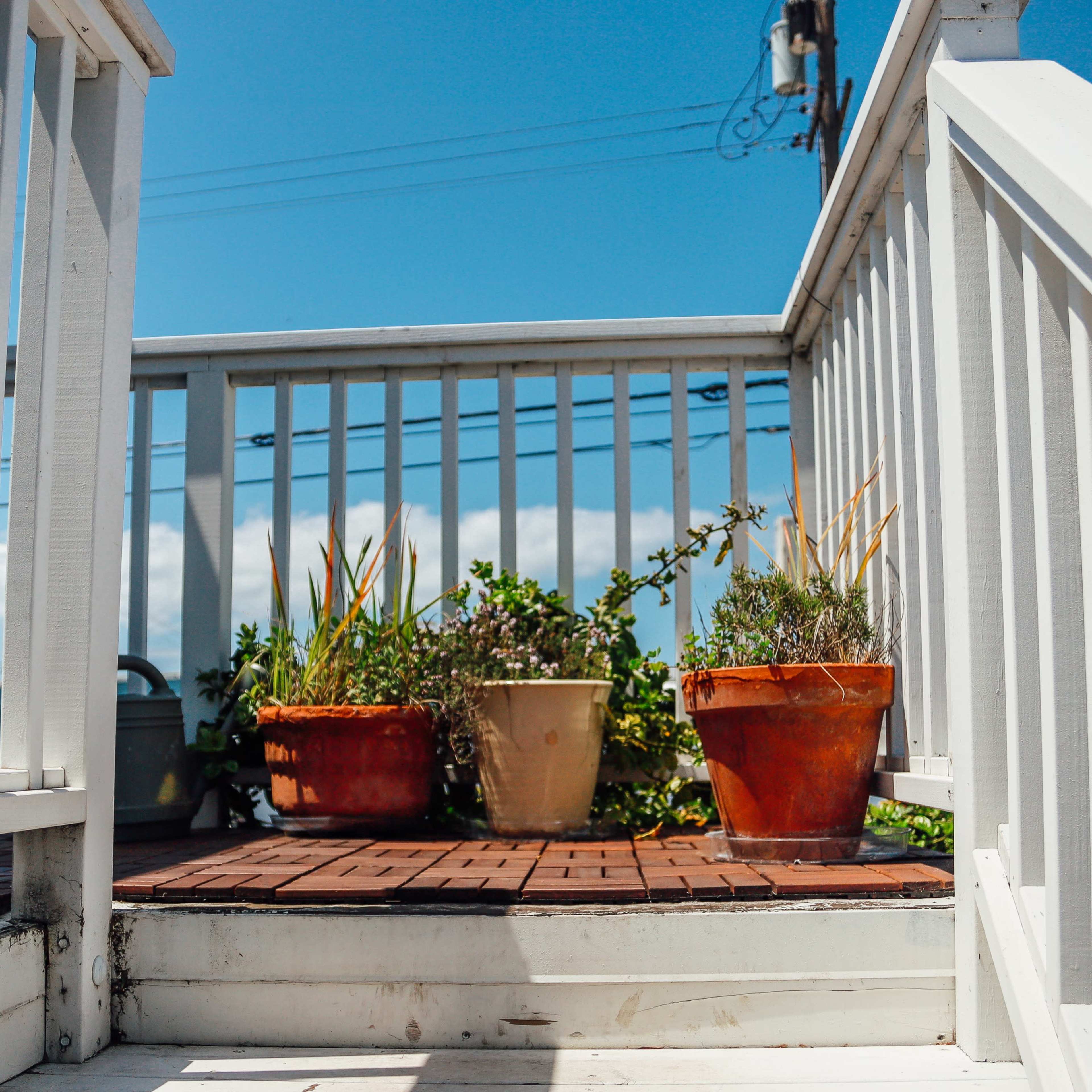 A wooden staircase leads to a small deck with three potted plants under a clear blue sky.