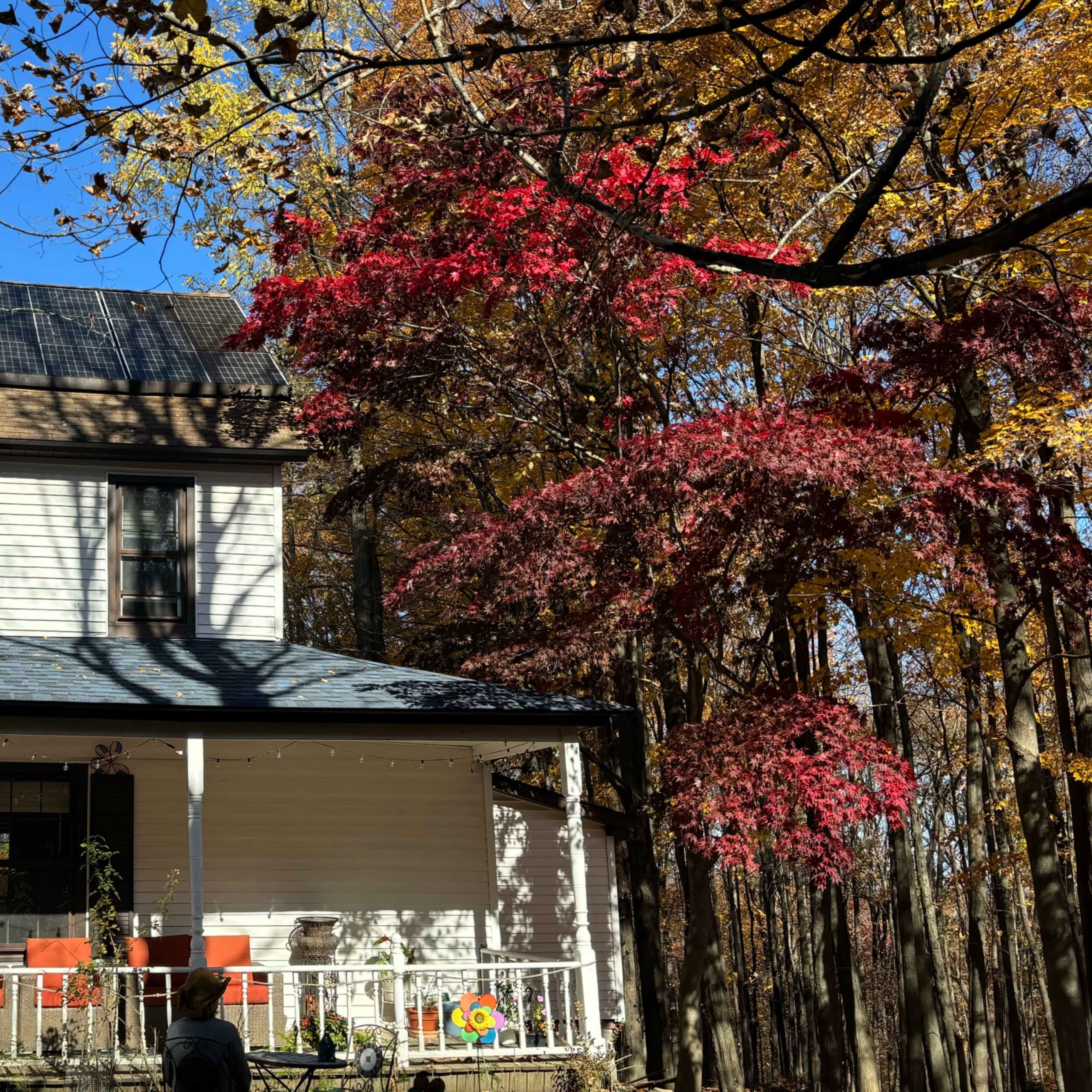 Beautiful House in the Mountains . Image in Mamakating, Wurtsboro, NY