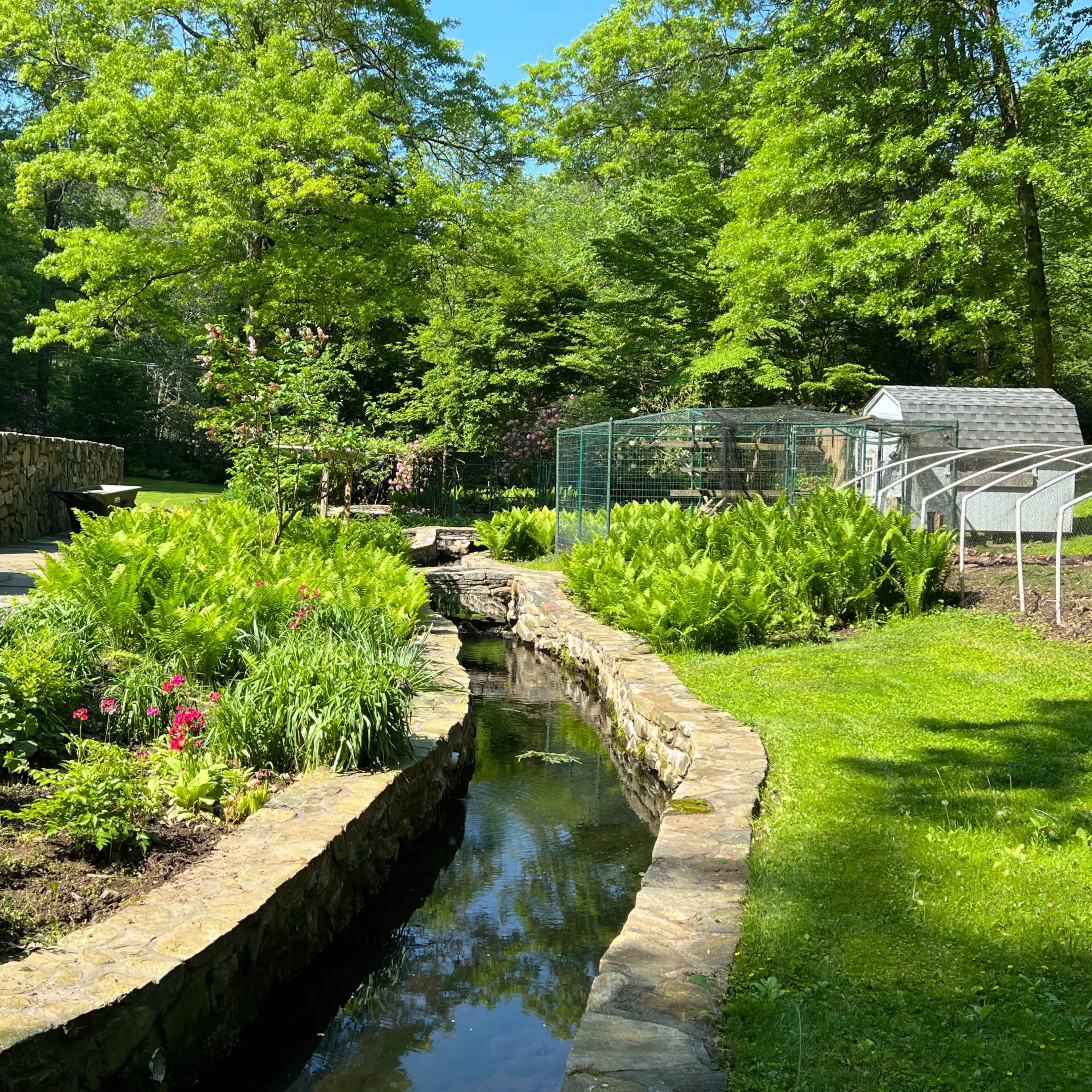 A landscaped garden featuring a stone pathway, a narrow stream, and a greenhouse in a lush, green setting.