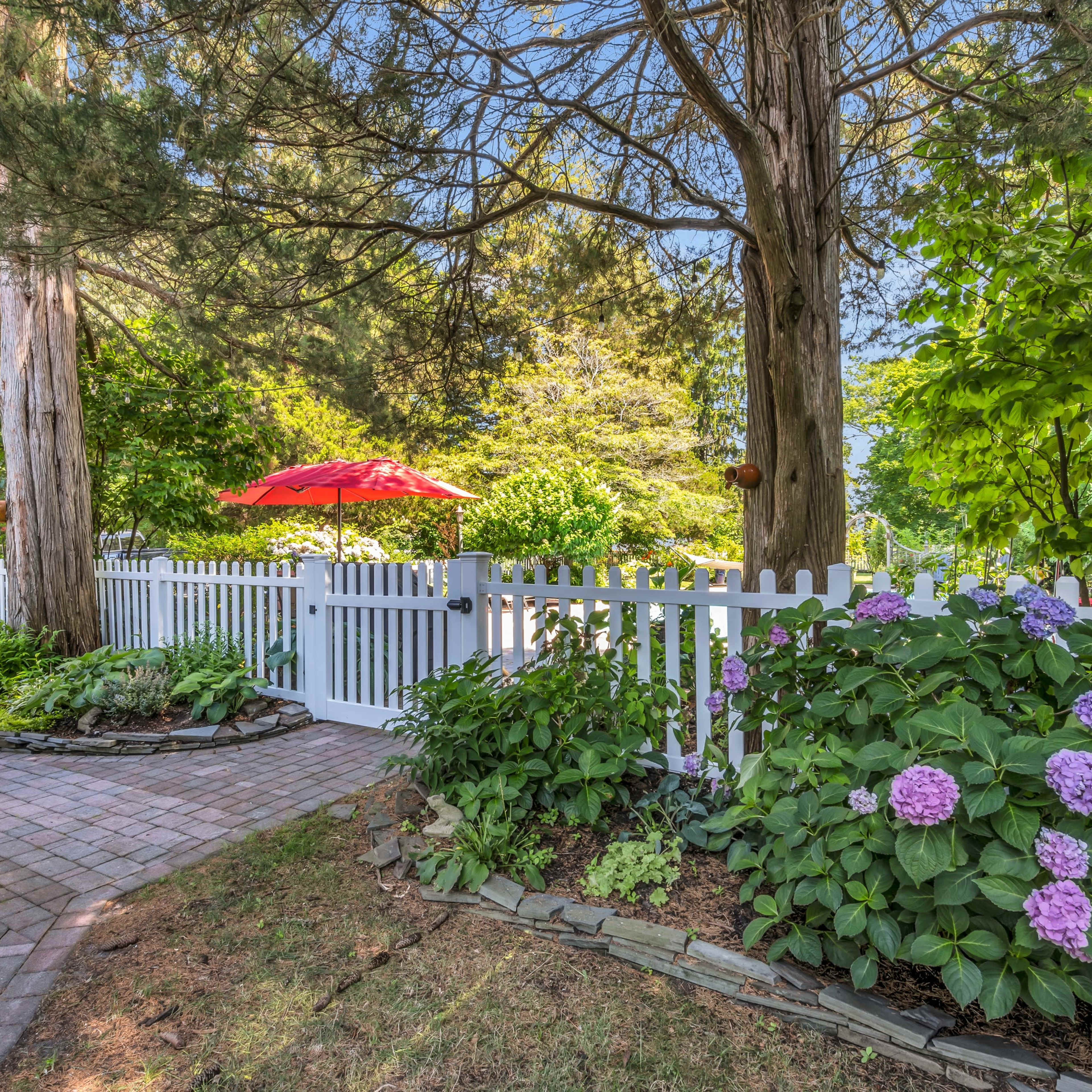 A white picket fence surrounds a landscaped path lined with hydrangeas and leads to a patio shaded by a red umbrella.