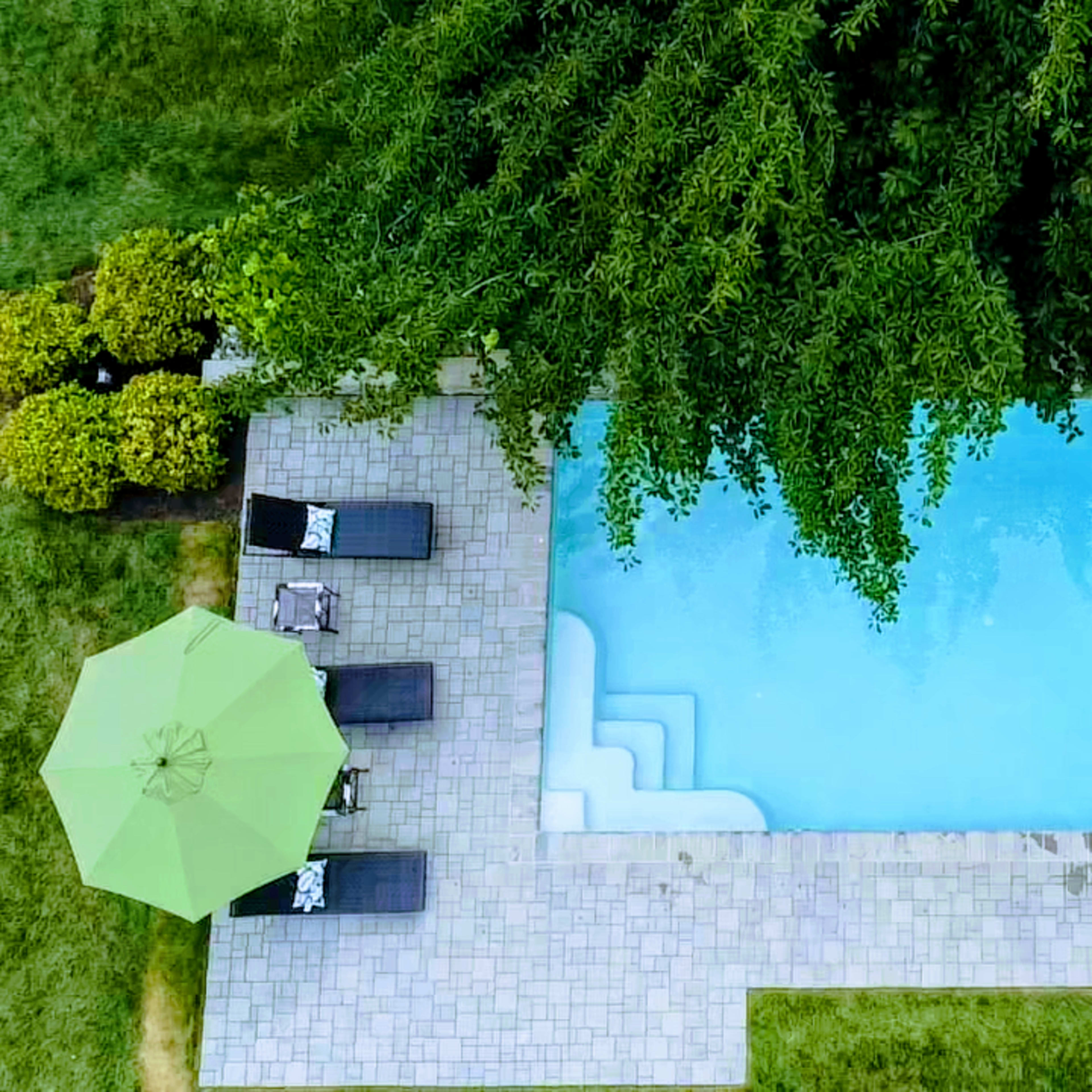 An aerial view shows a rectangular swimming pool surrounded by stone pavers, lounge chairs, and a green umbrella under overhanging trees.