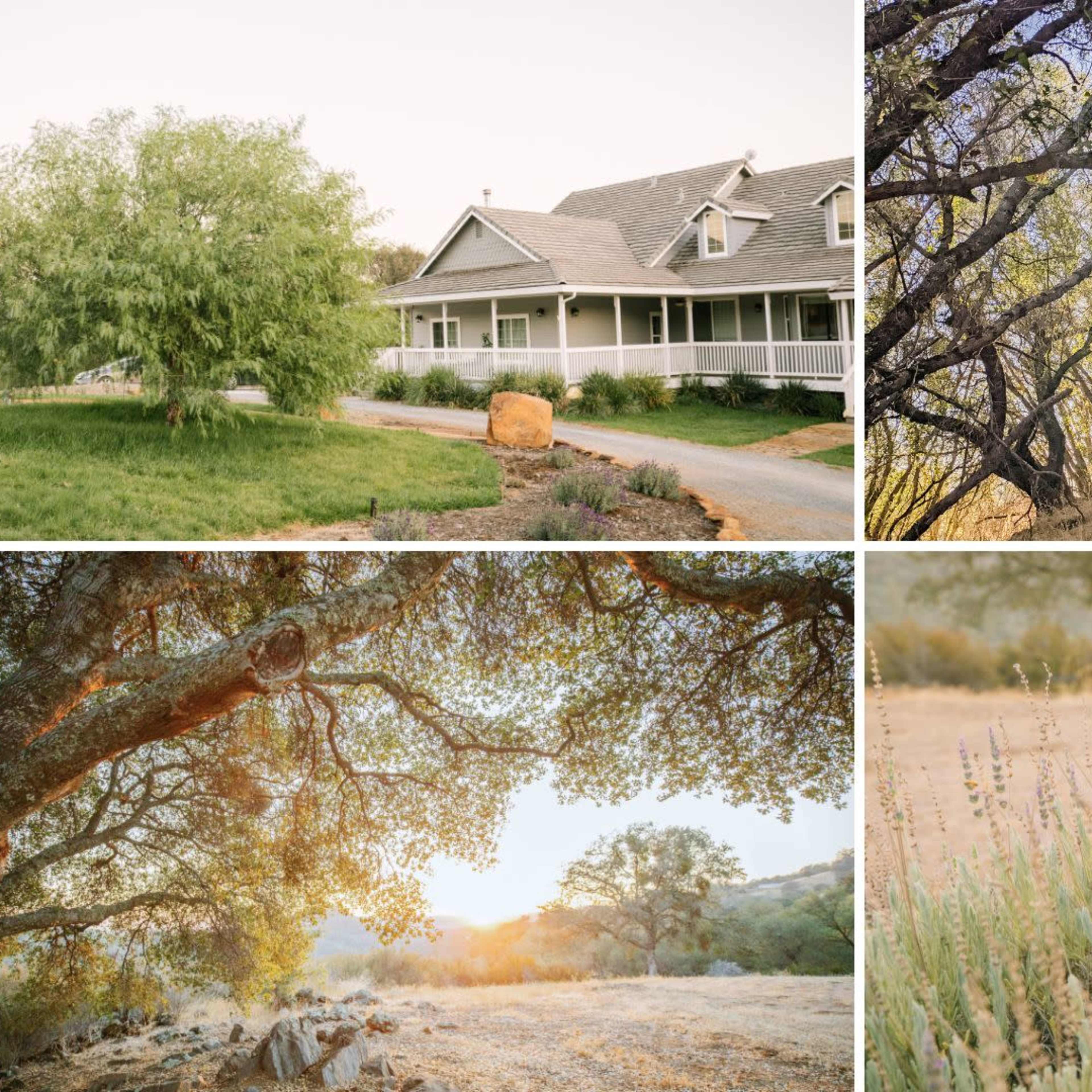 A scenic property with a house surrounded by trees and a dirt path, alongside sun-drenched landscapes of grasses and lavender.