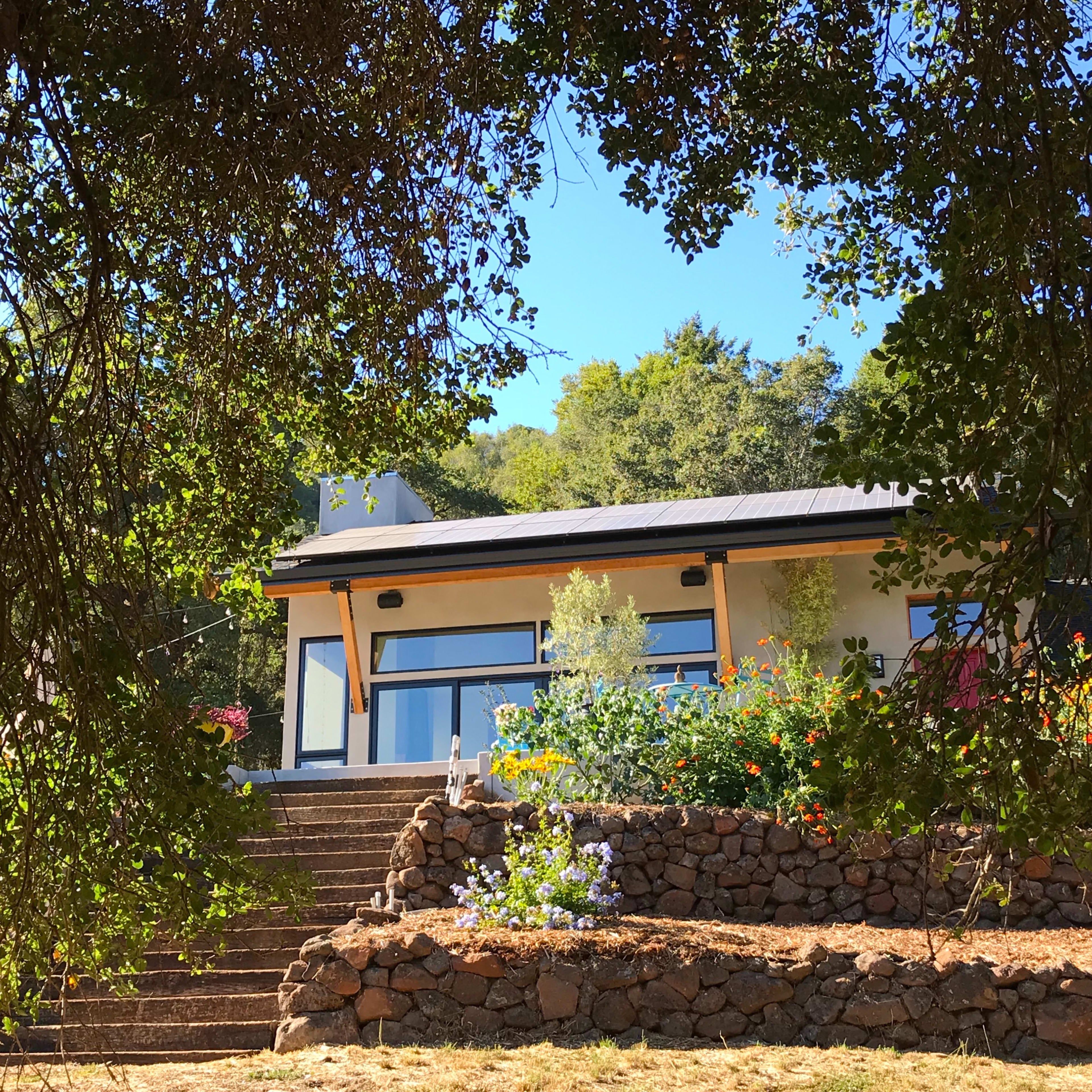 A modern house is framed by trees and surrounded by a landscaped garden with stone steps leading up to it.