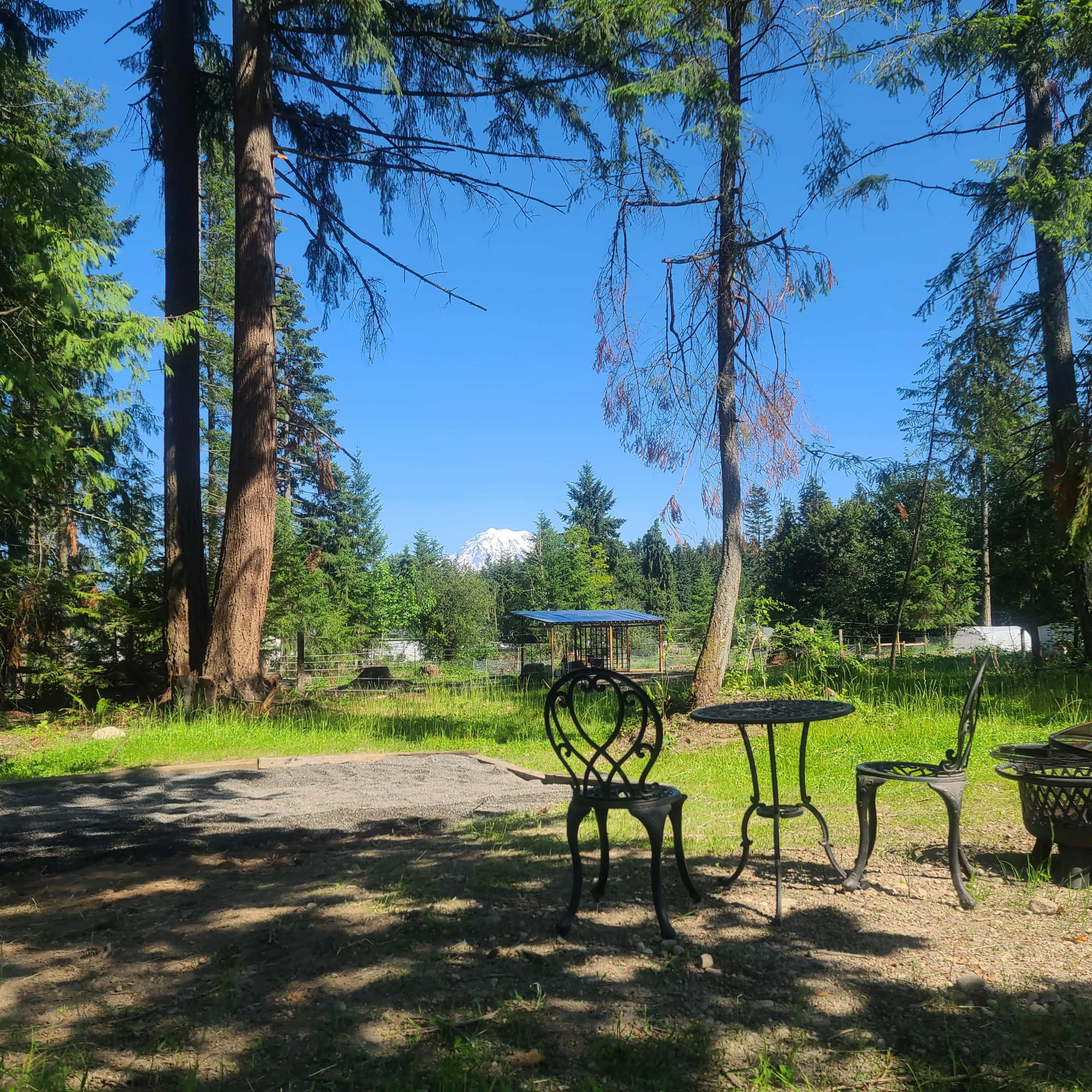 A rustic outdoor seating area with a small table and chairs is surrounded by tall trees and partial views of a mountain in the background.