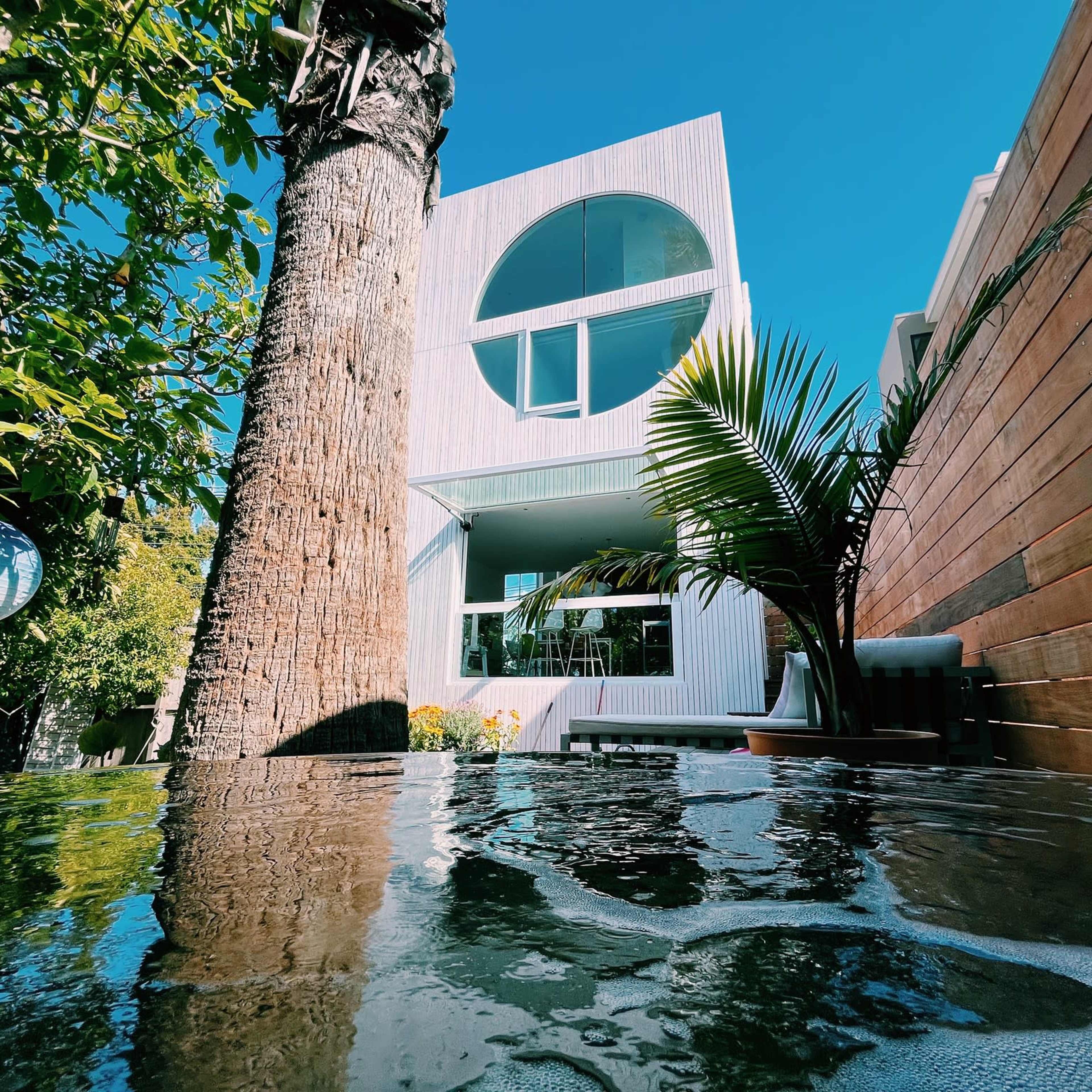 A modern white house with large windows is visible behind a swimming pool, surrounded by tropical plants and a wooden fence.