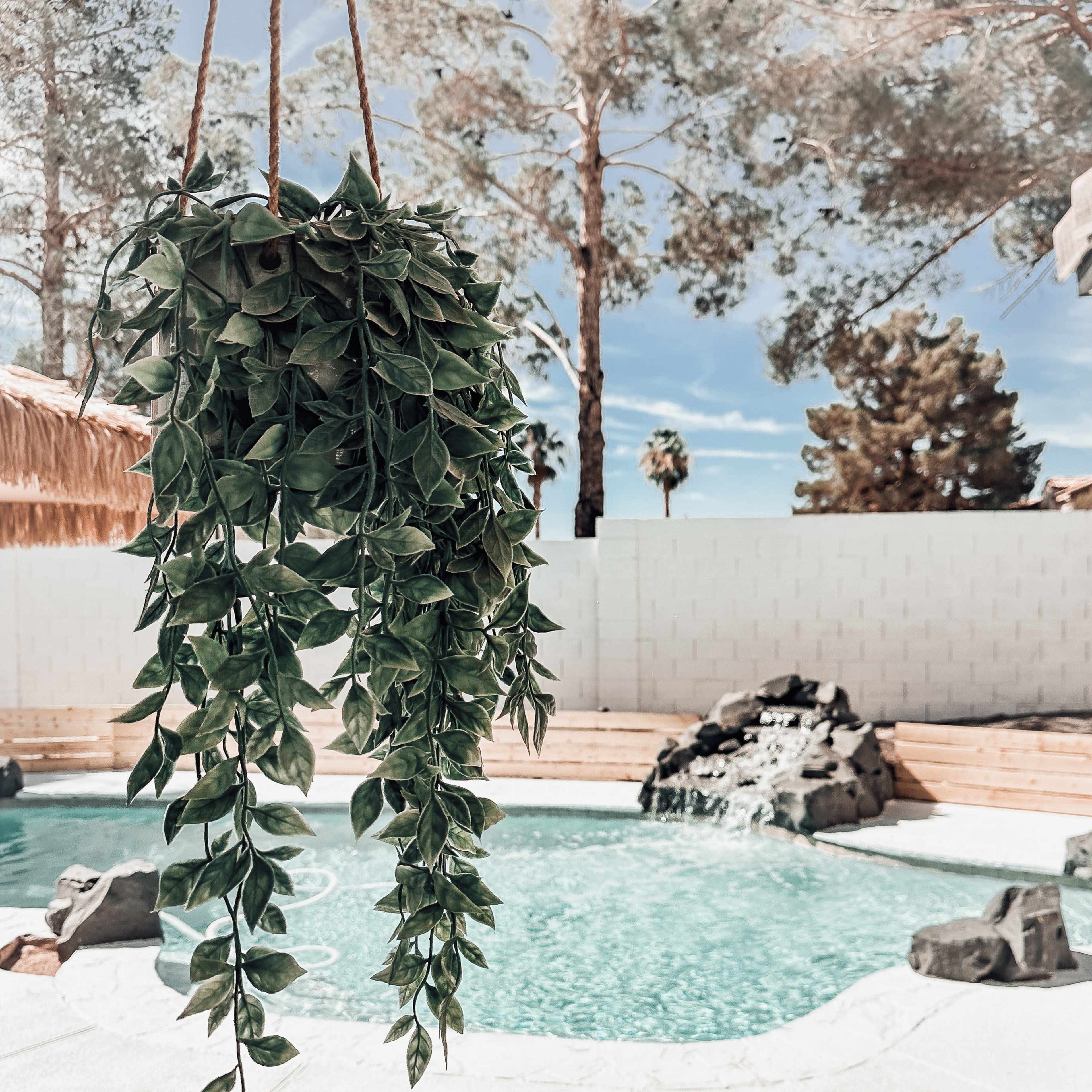 A hanging plant overlooks a swimming pool surrounded by rocks and a waterfall in a sunny outdoor setting.