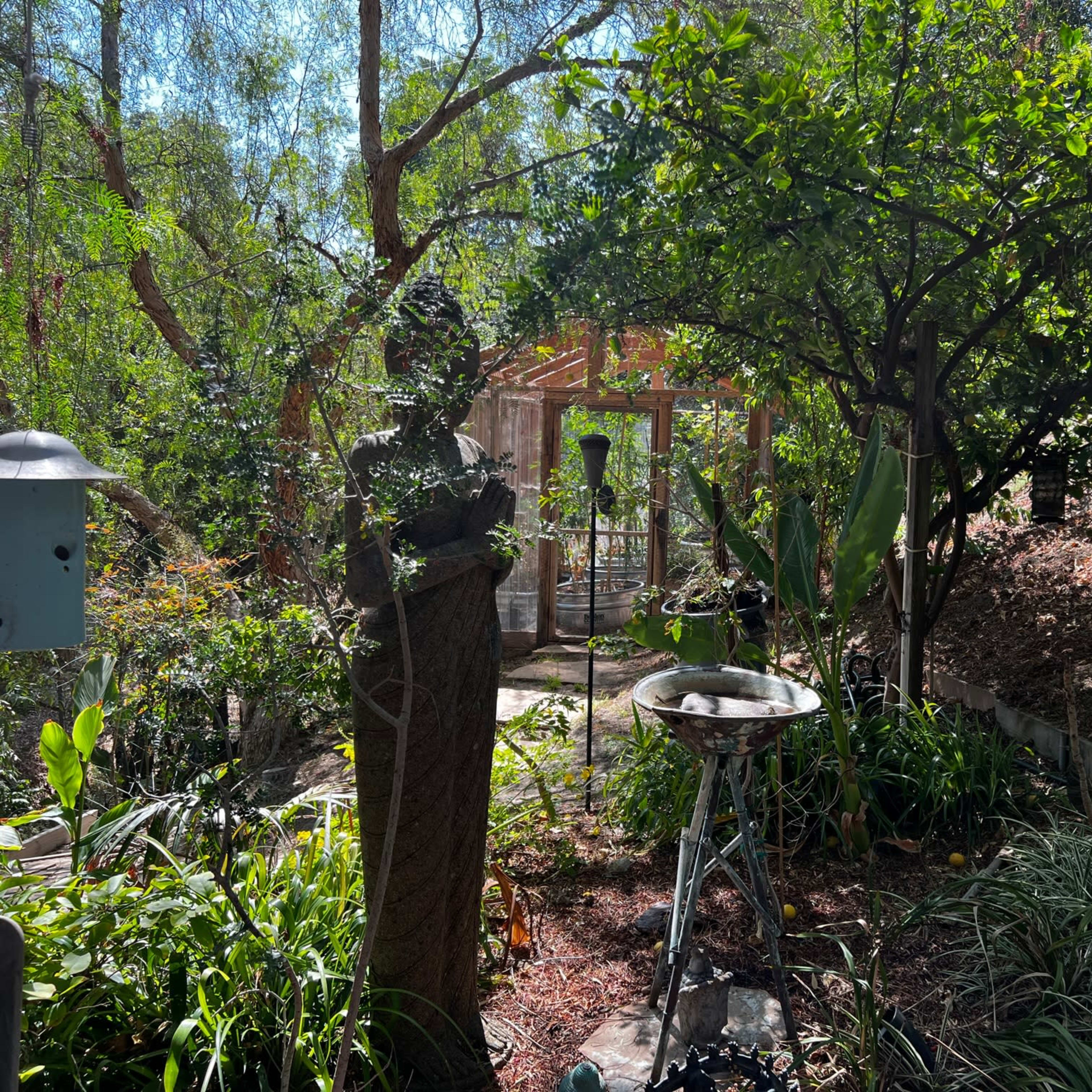 A garden scene features a stone sculpture among lush greenery, with a barbecue grill and a structure partially visible in the background.