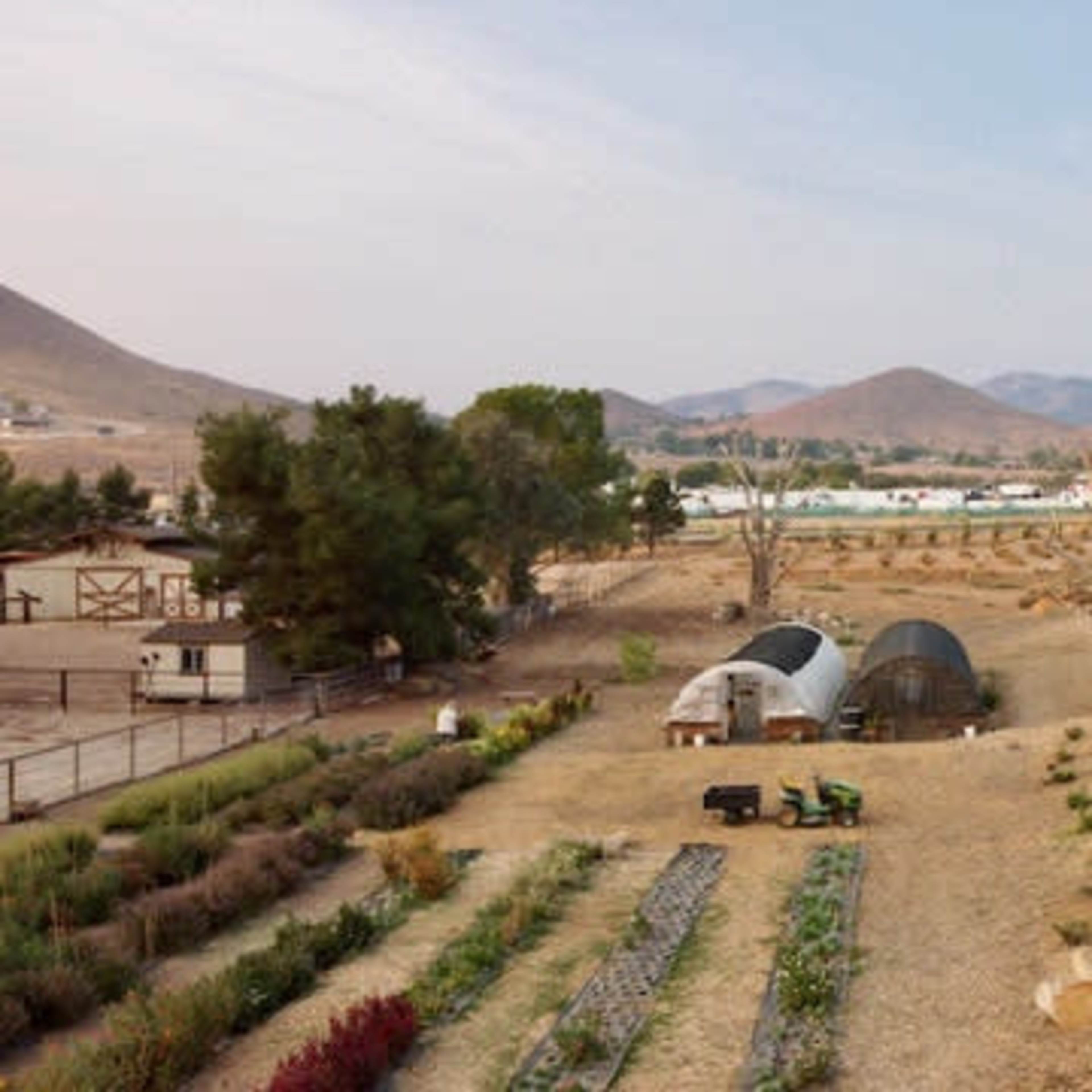 A rural landscape featuring two greenhouses, several rows of crops, and parked vehicles near a barren tree and distant mountains.